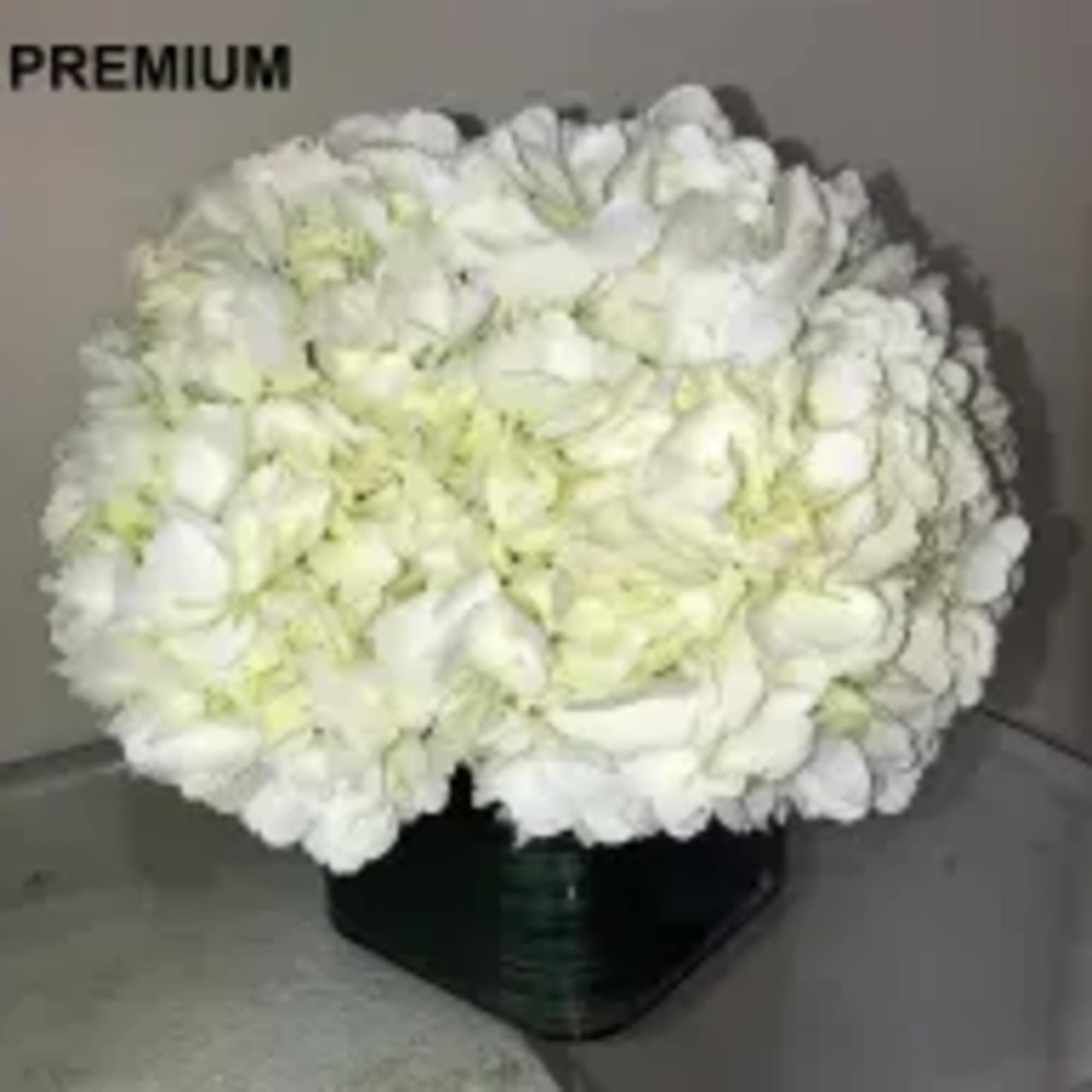Low cube vase filled with a dense dome of white hydrangeas