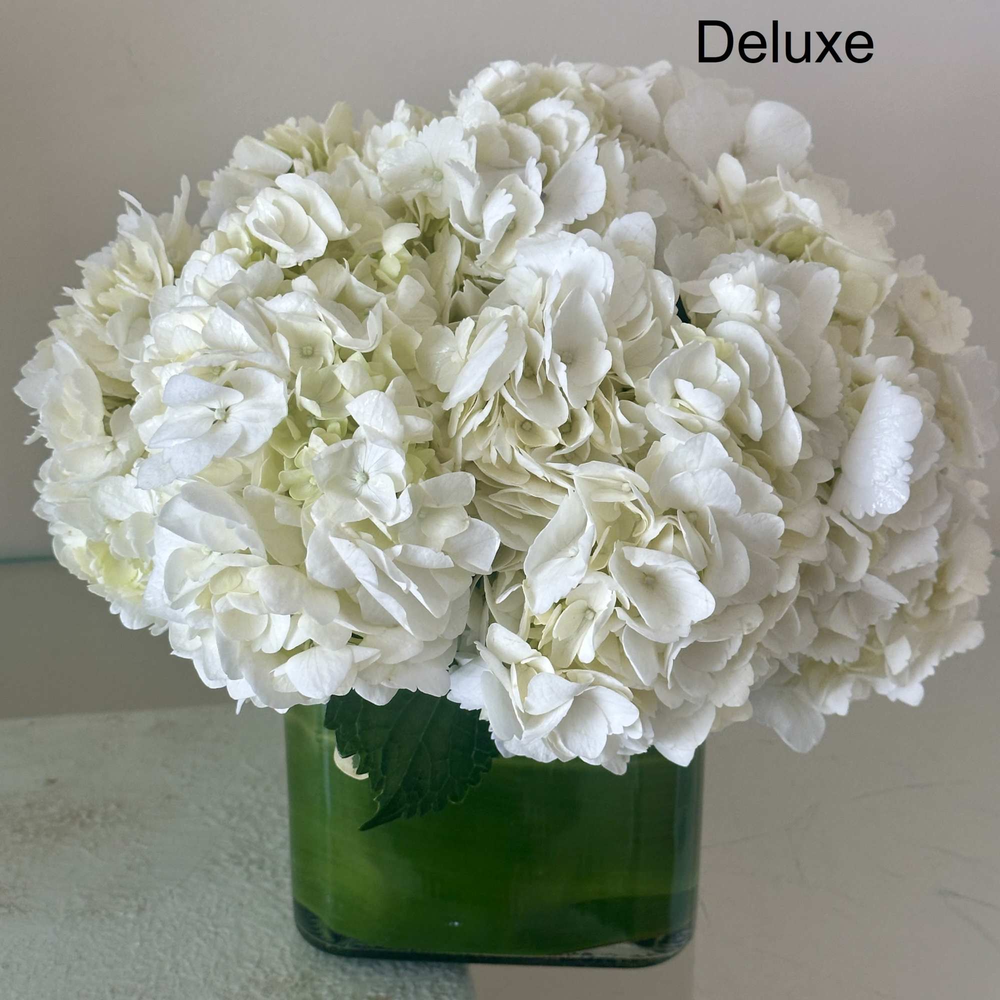 Compact arrangement of white hydrangeas in a green-lined square glass vase