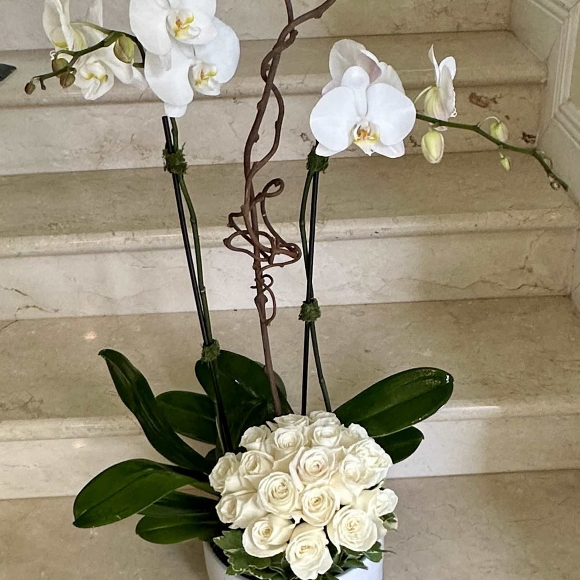 Tall white phalaenopsis orchids with a dome of white roses in a round white pot