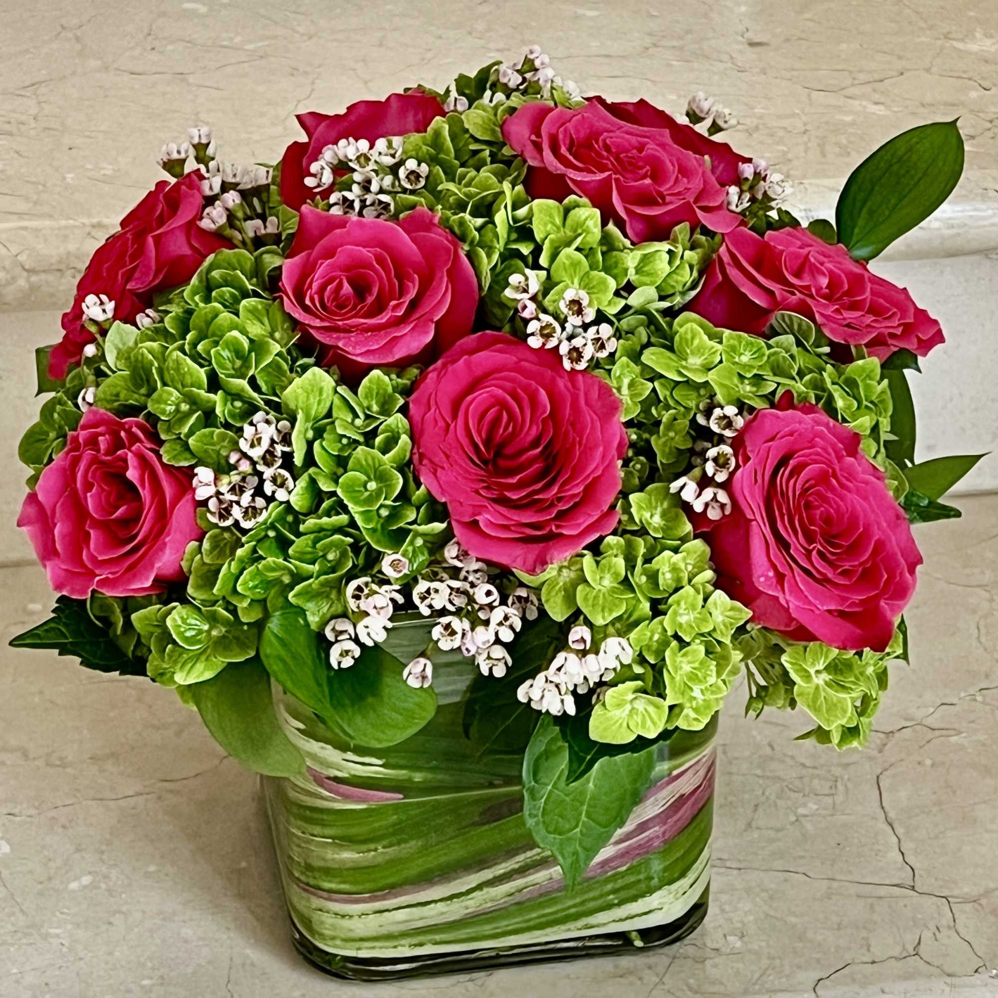 Hot Pink Roses with Green Hydrangeas arranged in a 6 X 6