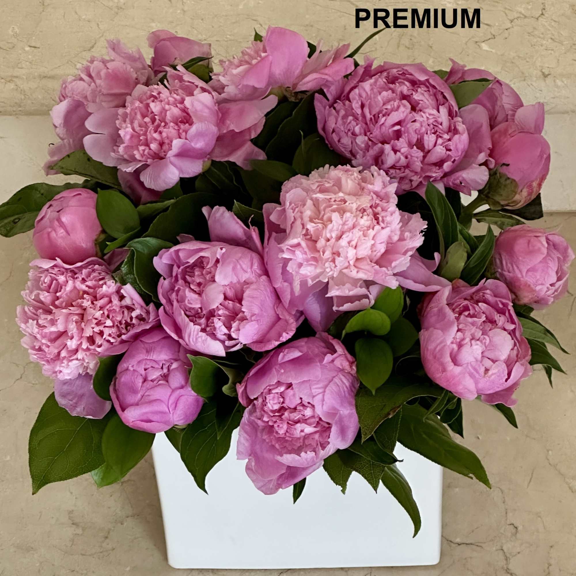 Compact arrangement of pink peony-style blooms in a white square vase