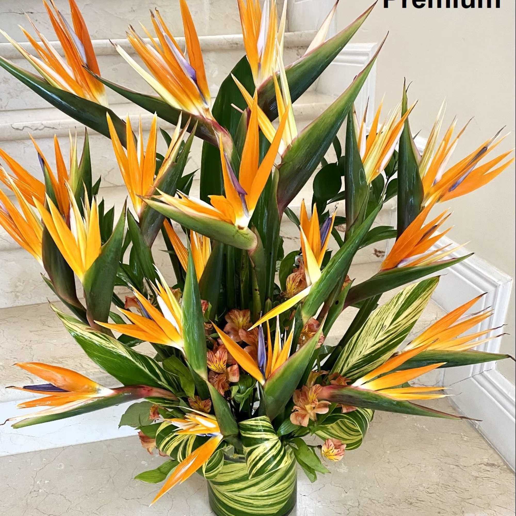 Bird of paradise arrangement in a striped green vase