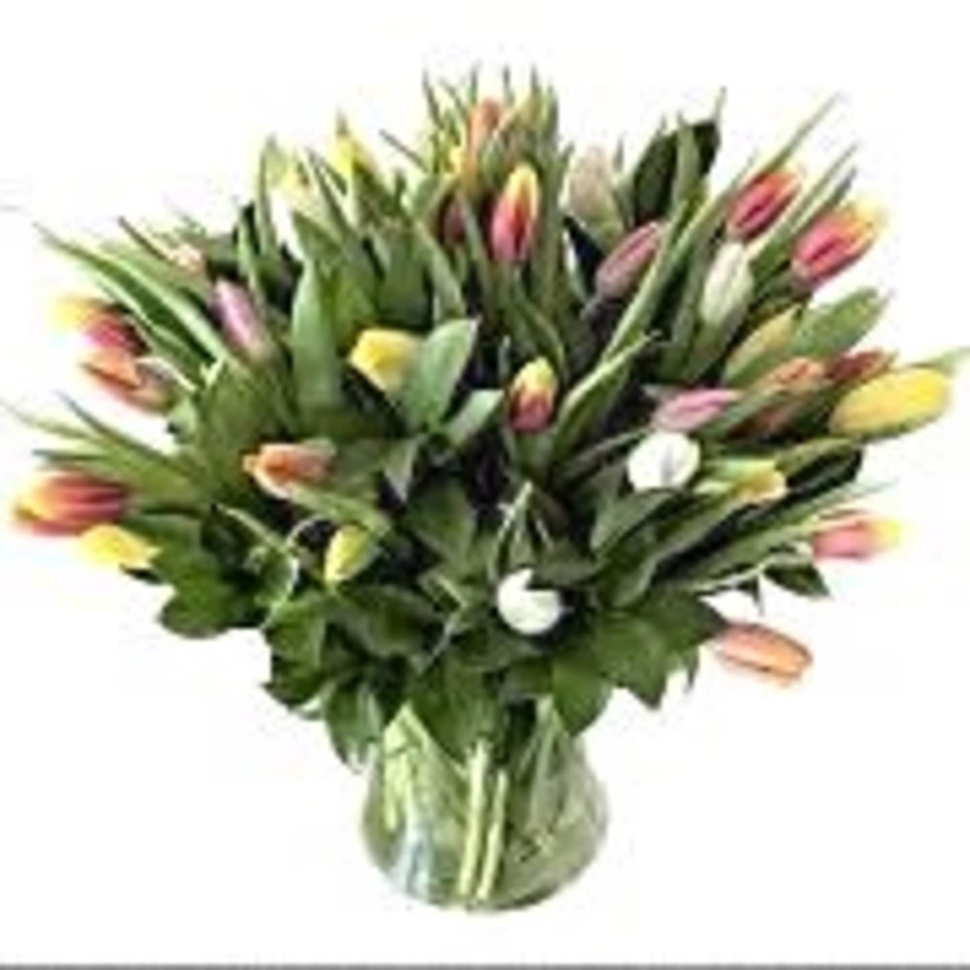 Bouquet of multicolored tulips in a clear glass vase