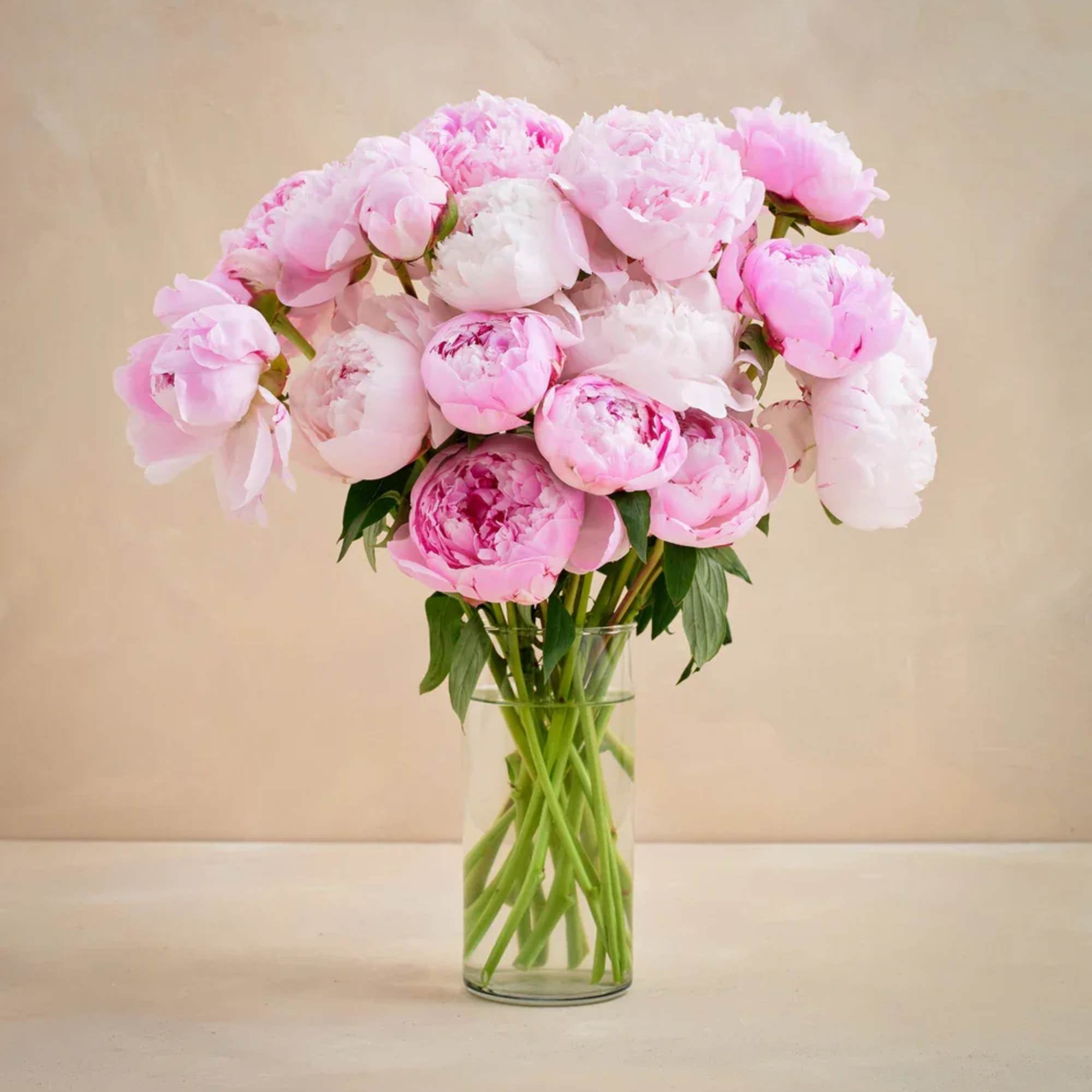 An abundant arrangement of 20 luxurious blush pink peonies designed to make