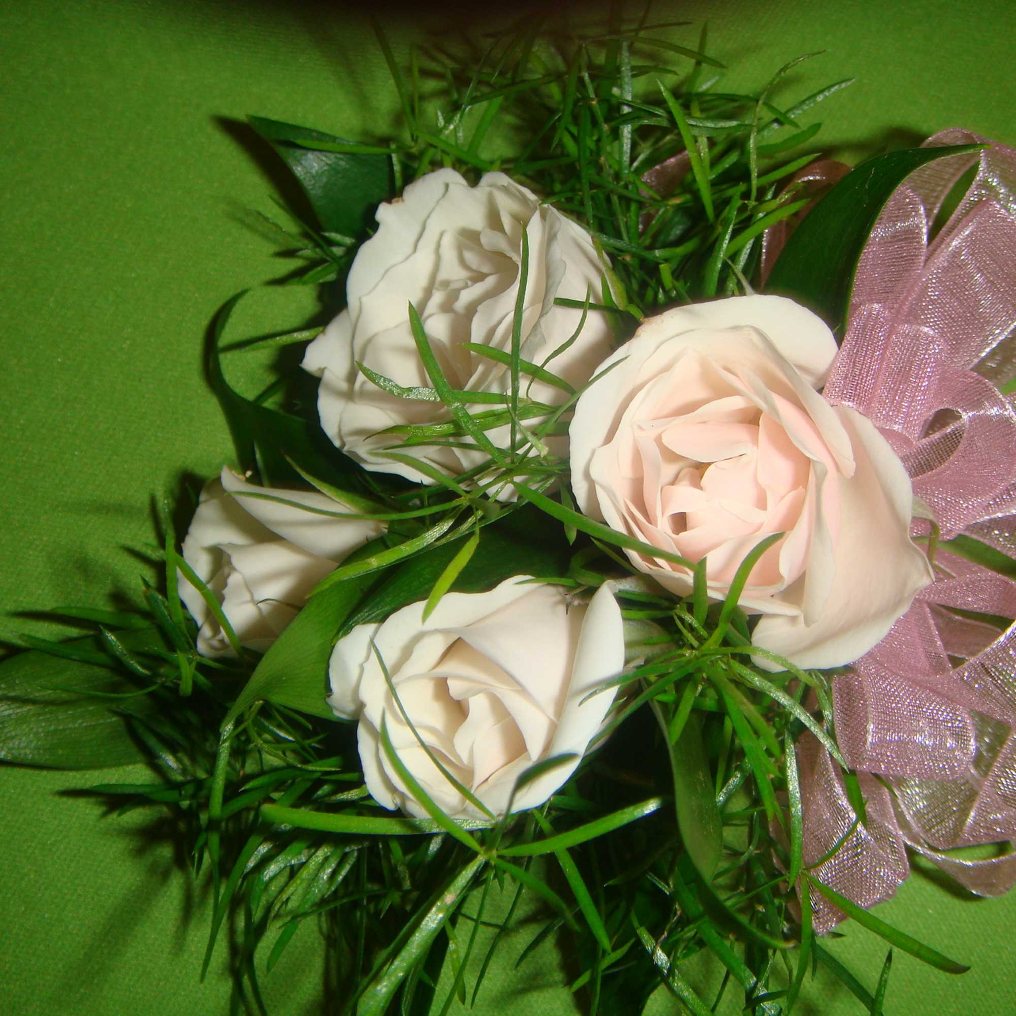 Small bouquet of pale roses with green foliage and a pink ribbon