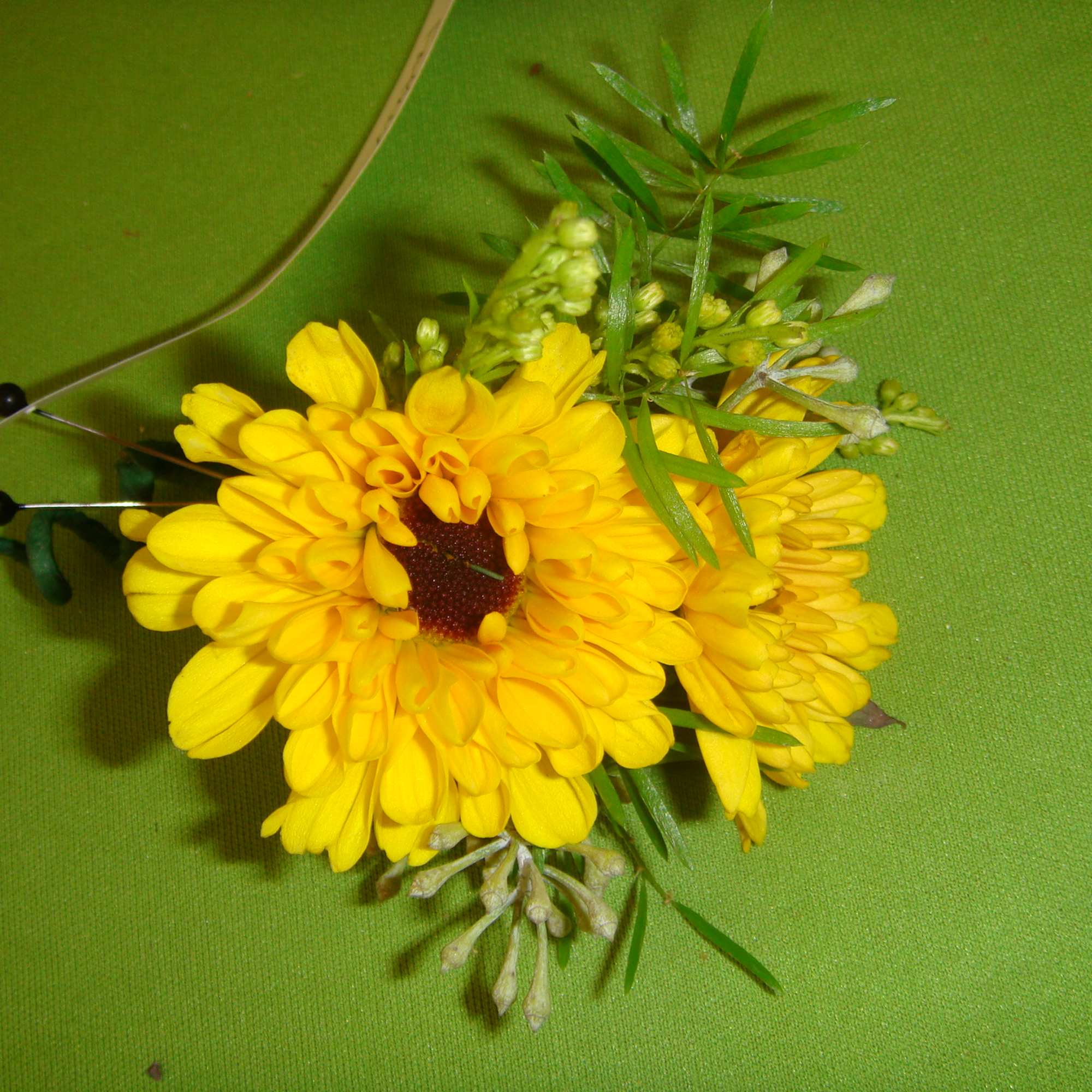 Yellow chrysanthemum boutonniere with green accents on a green background