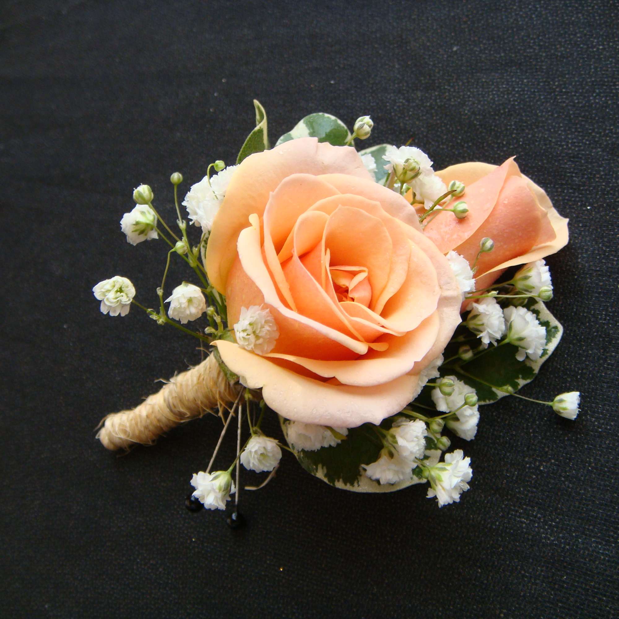Peach rose boutonniere with white baby's breath, photo 3 of 3