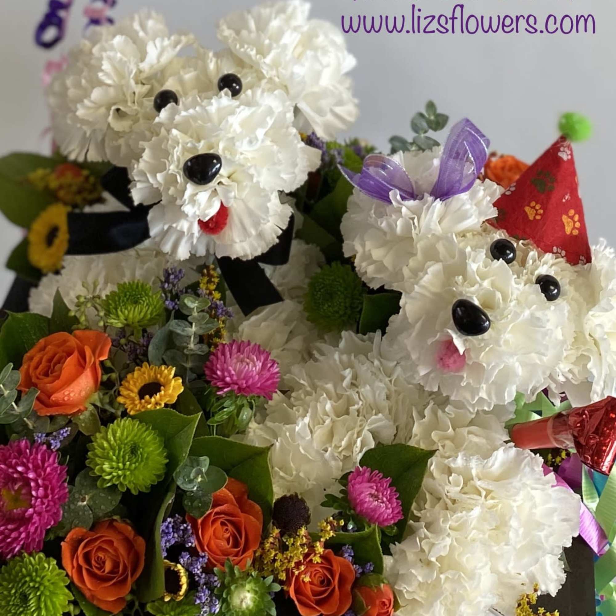 These two cute party pups are ready for any special occasion. 
