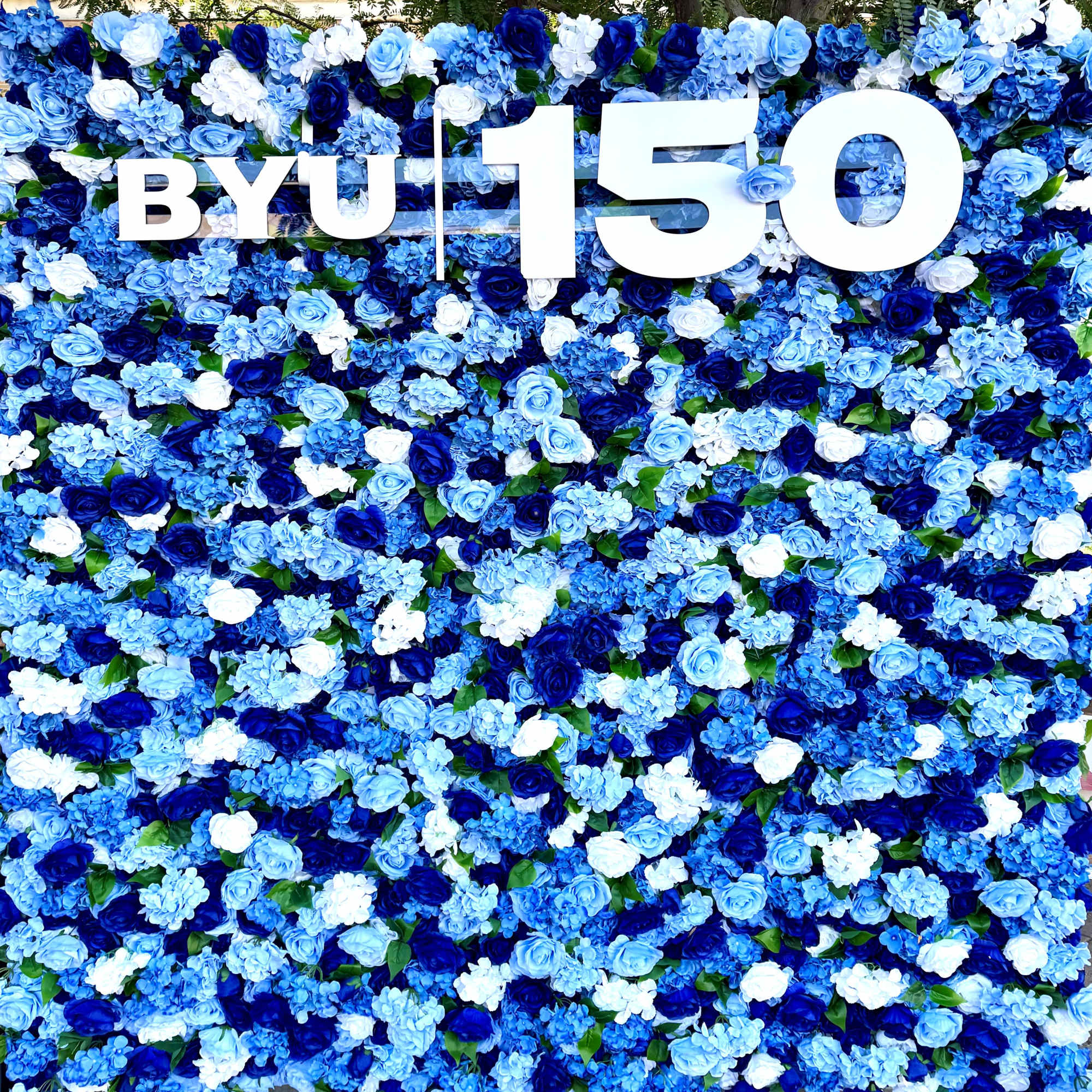 This is a 8 foot by 8 foot with the BYU 150