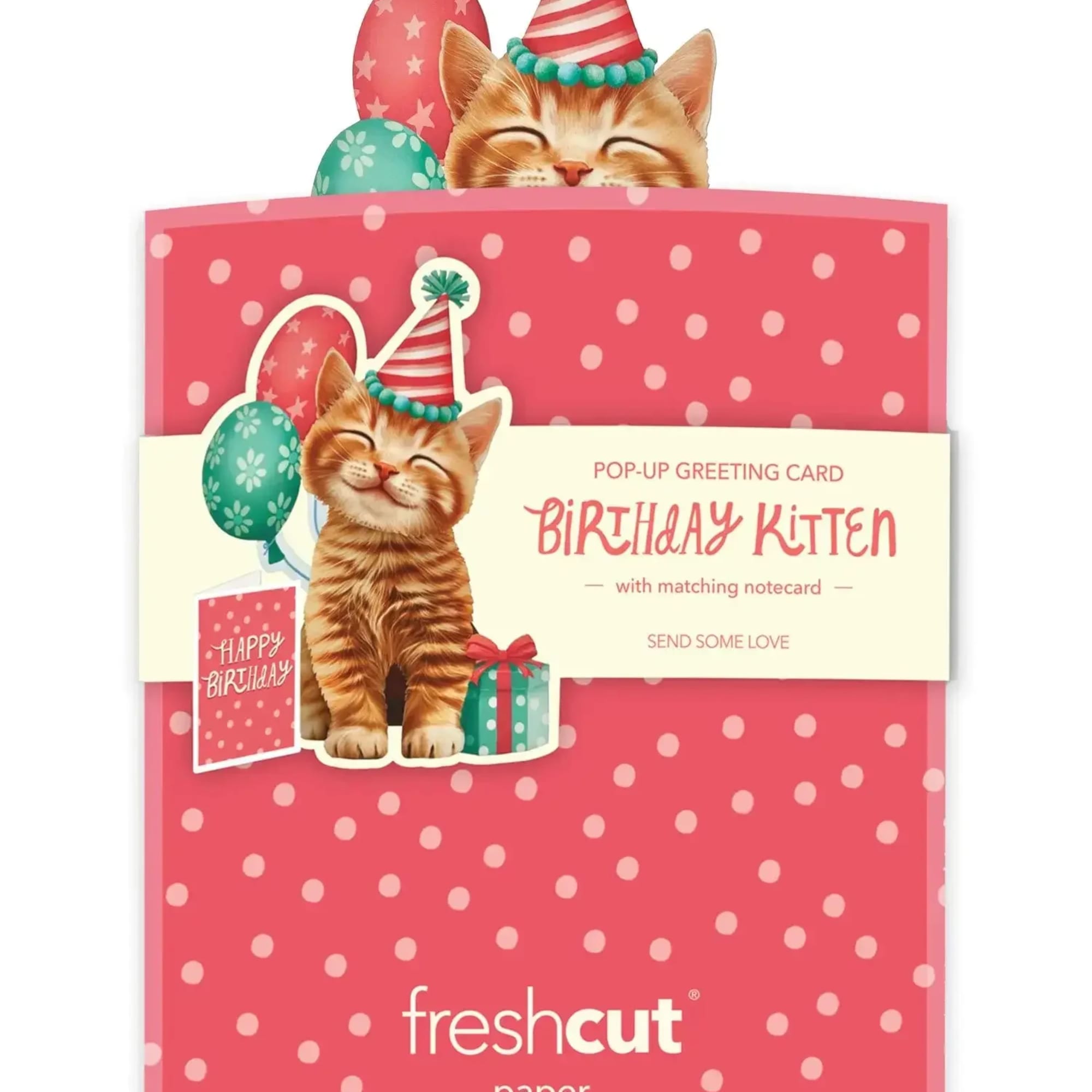 Meet our Mini Pop-Up Birthday Kitten &mdash; an irresistible pop-up birthday card, photo 3 of 3