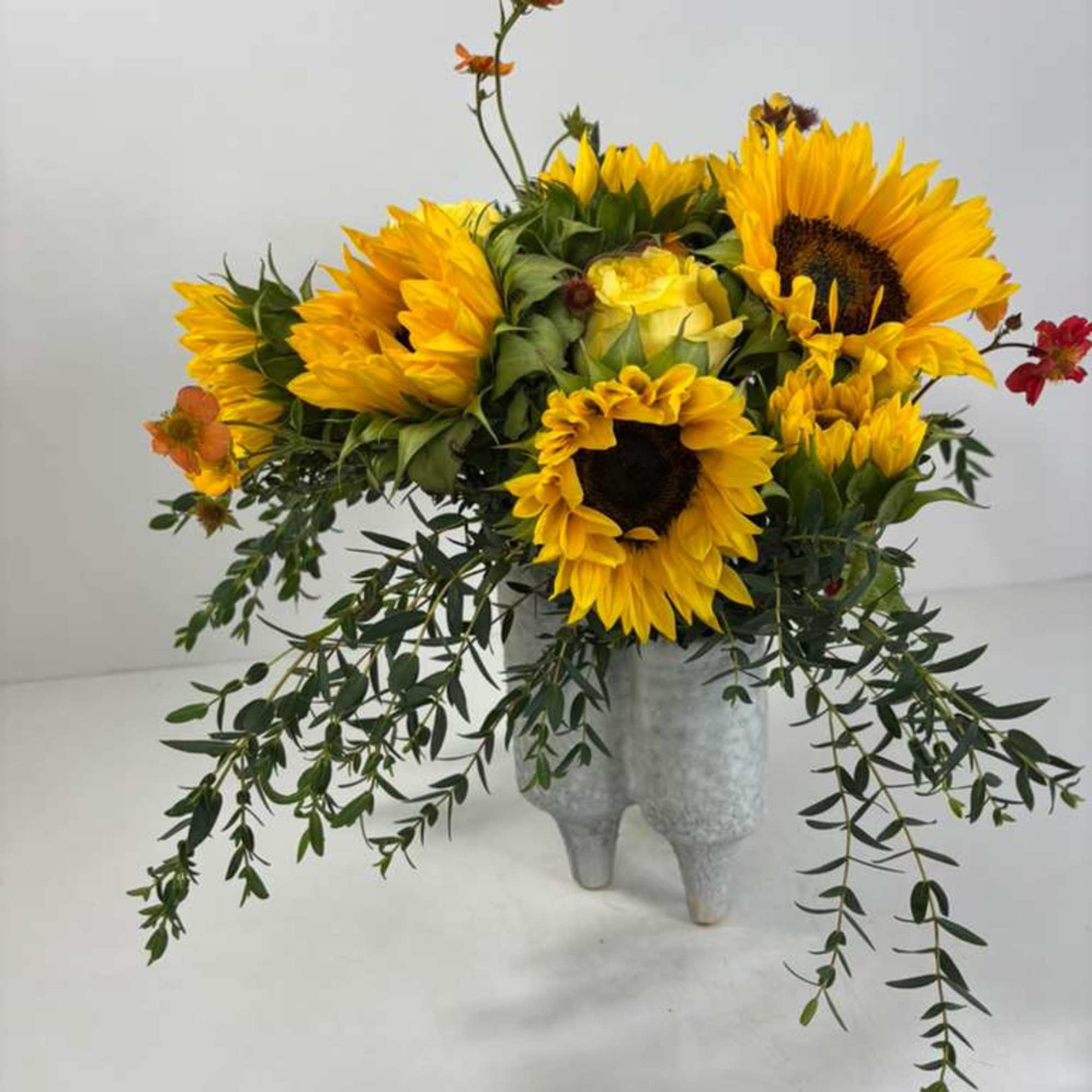 Sunflower arrangement in a gray pedestal vase with trailing greenery