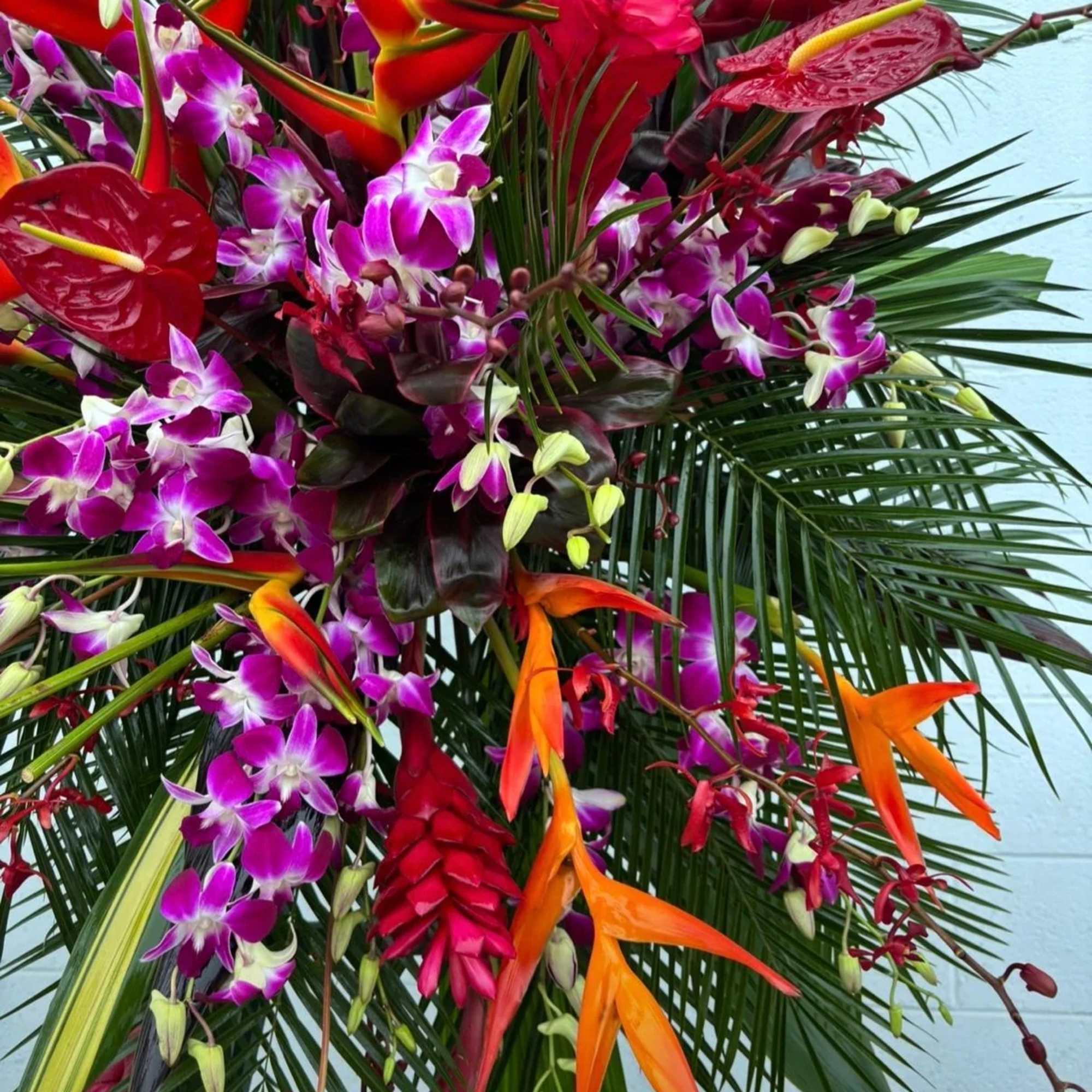 Tropical arrangement with orchids, anthuriums, and orange heliconia