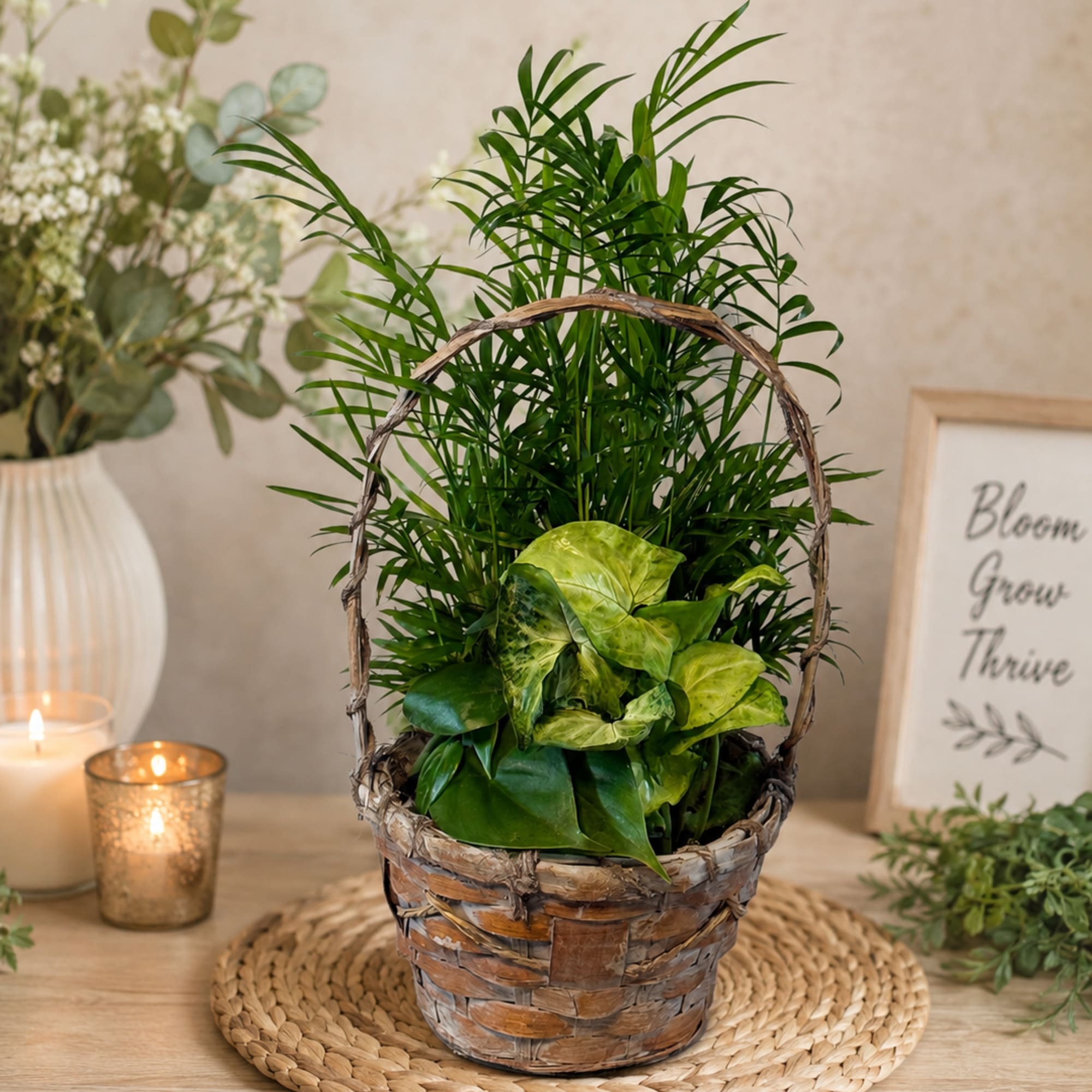 Basket of green houseplants on a woven mat