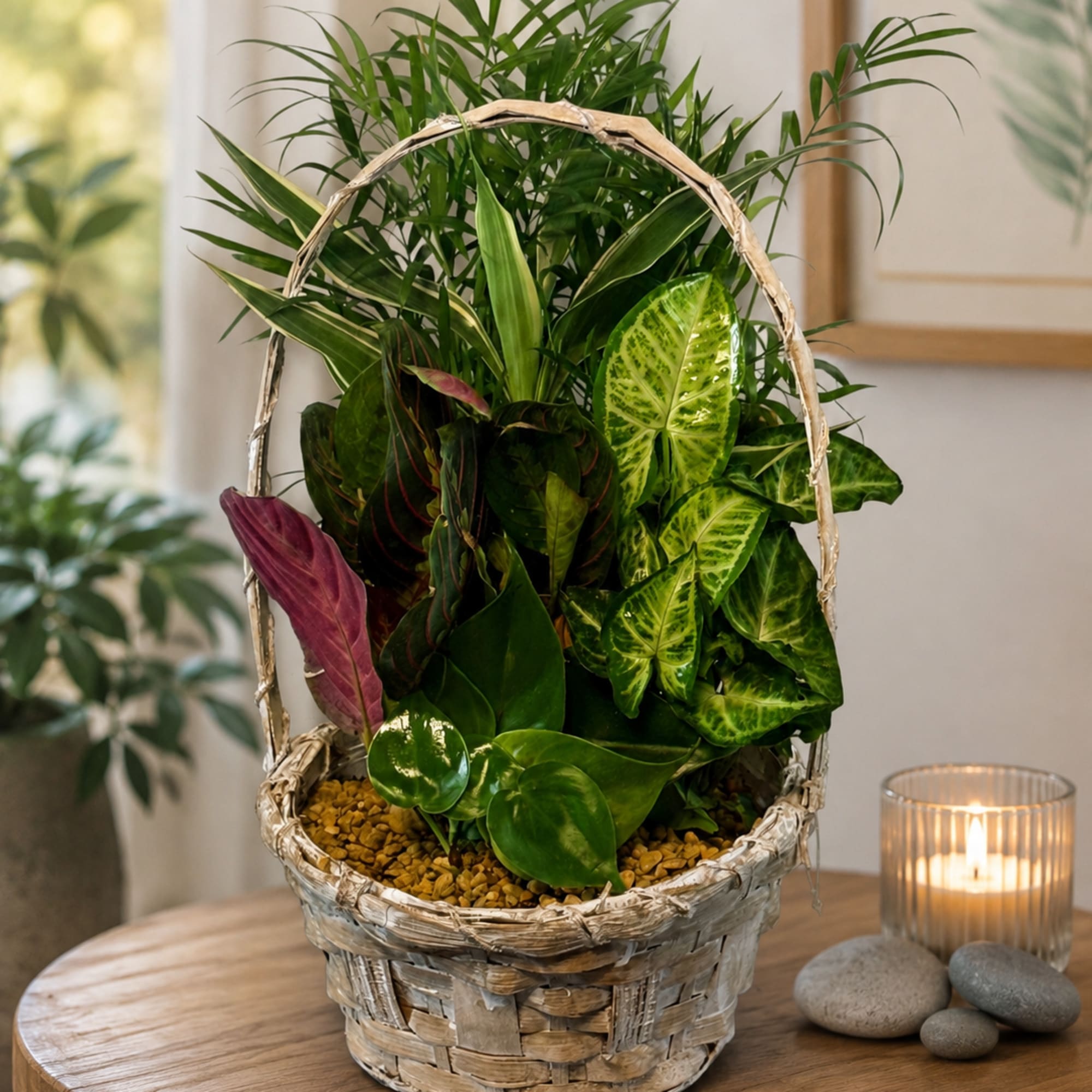 Mixed potted plants in a woven basket with a handle