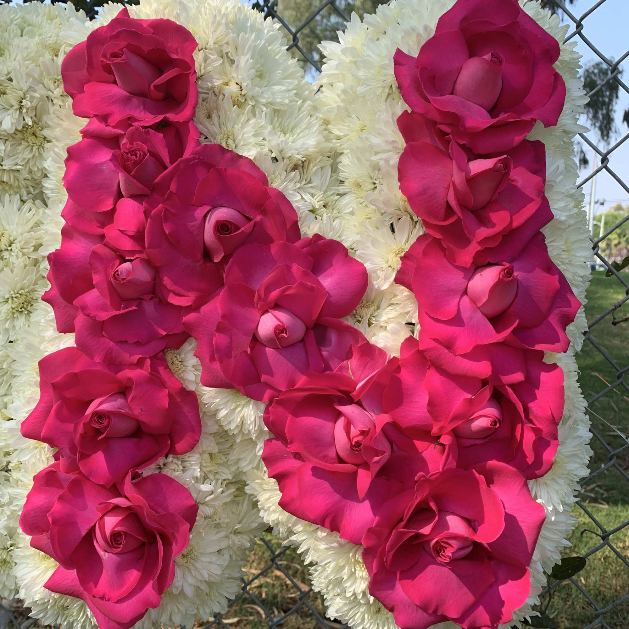 Hot pink roses arranged over a white floral backdrop