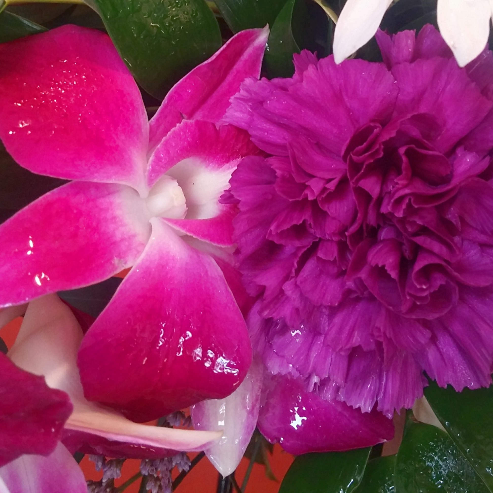 Close-up of pink orchids and a purple carnation bouquet