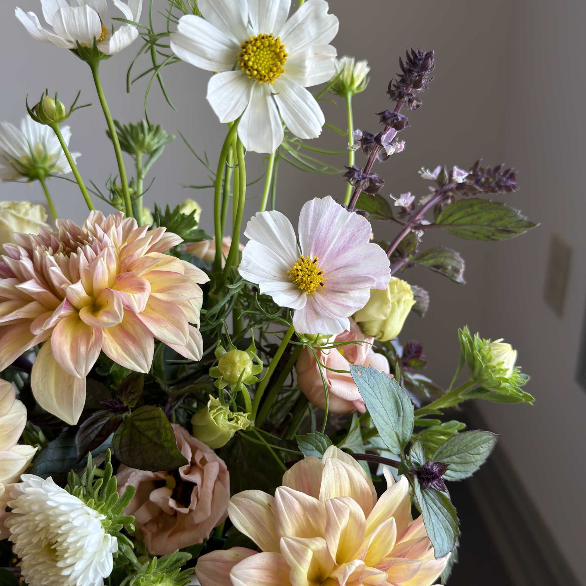 Mixed bouquet with white cosmos and peach dahlias in a white vase