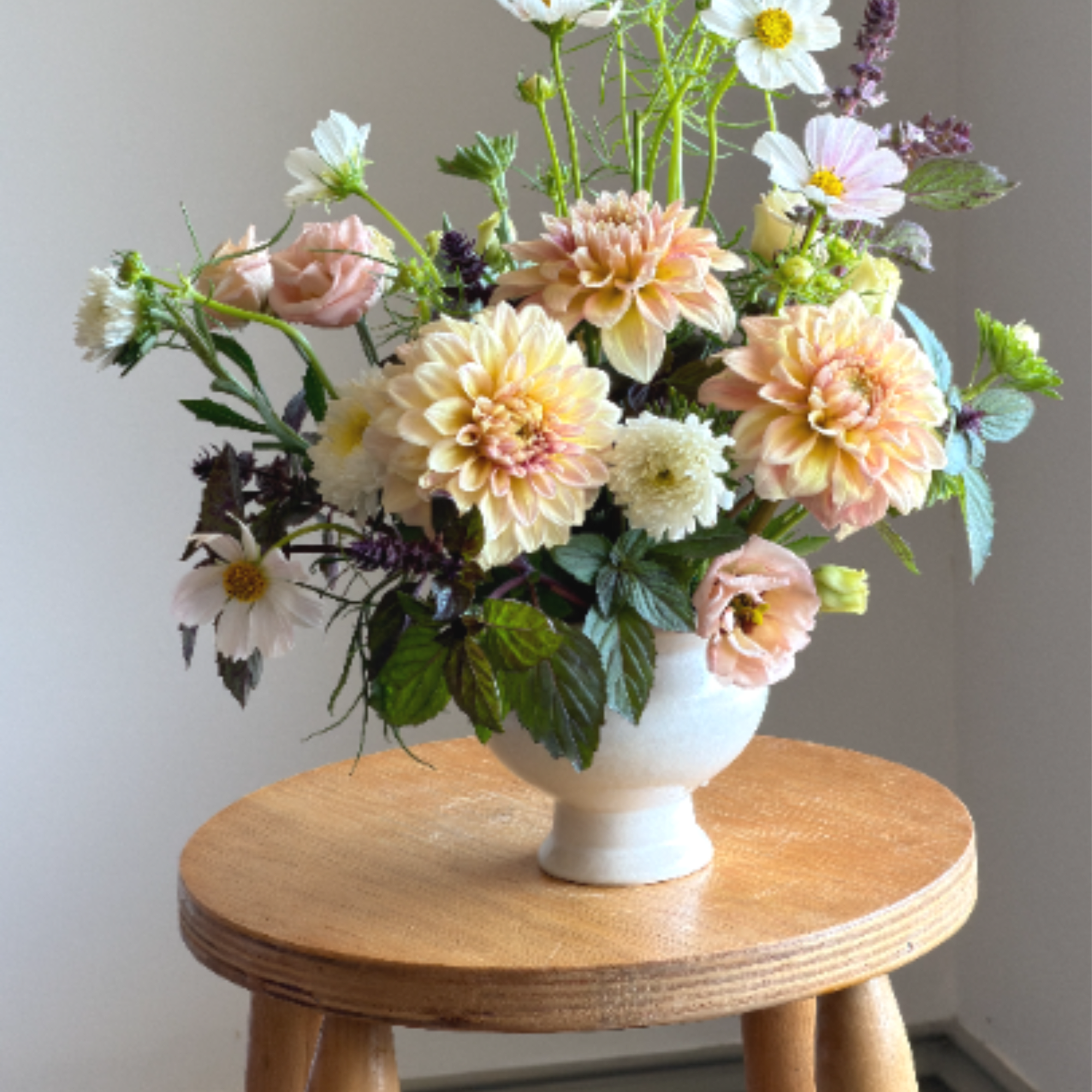 Reminiscent of the sunrise over the garden dahlias take center stage in