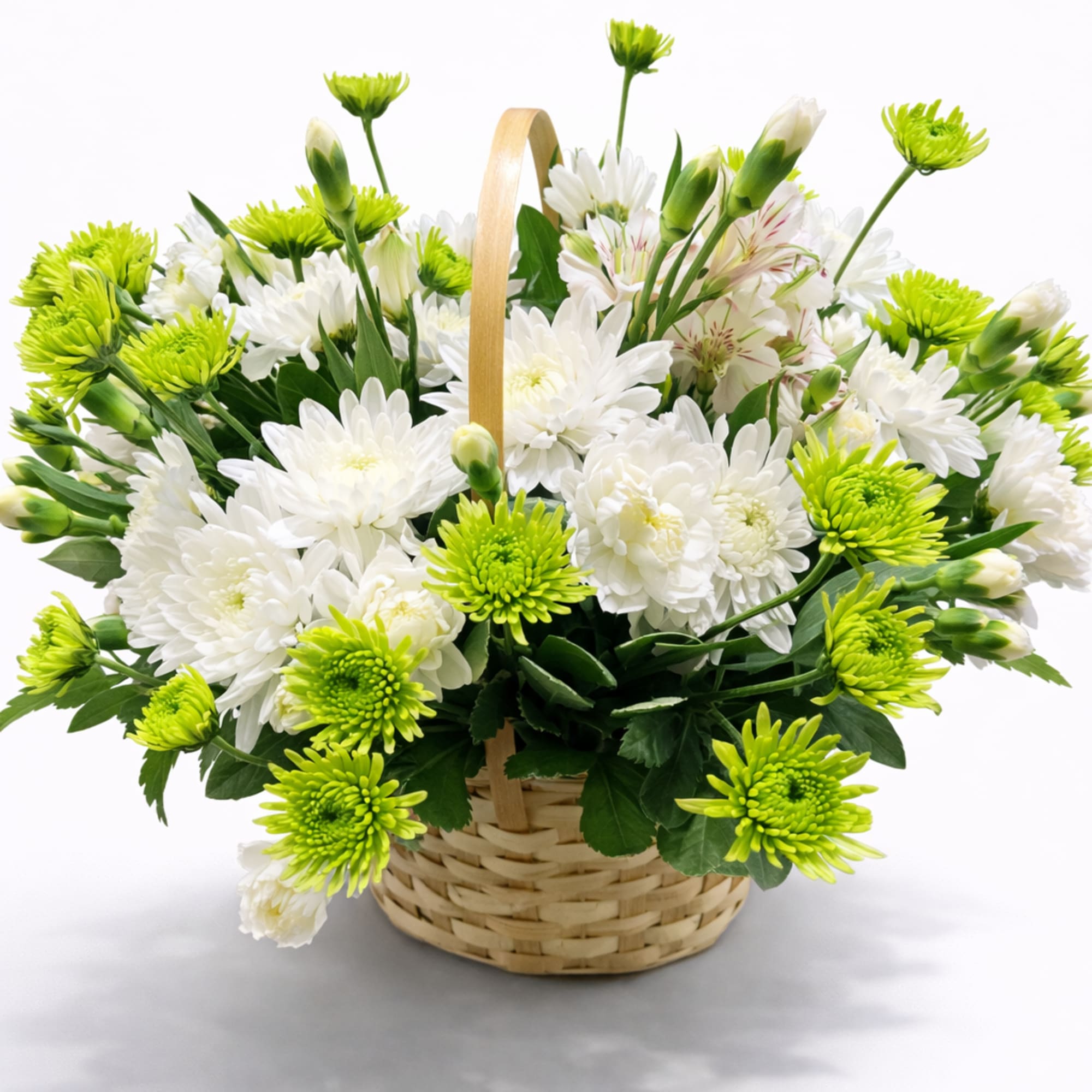 Basket of white and green chrysanthemum flowers