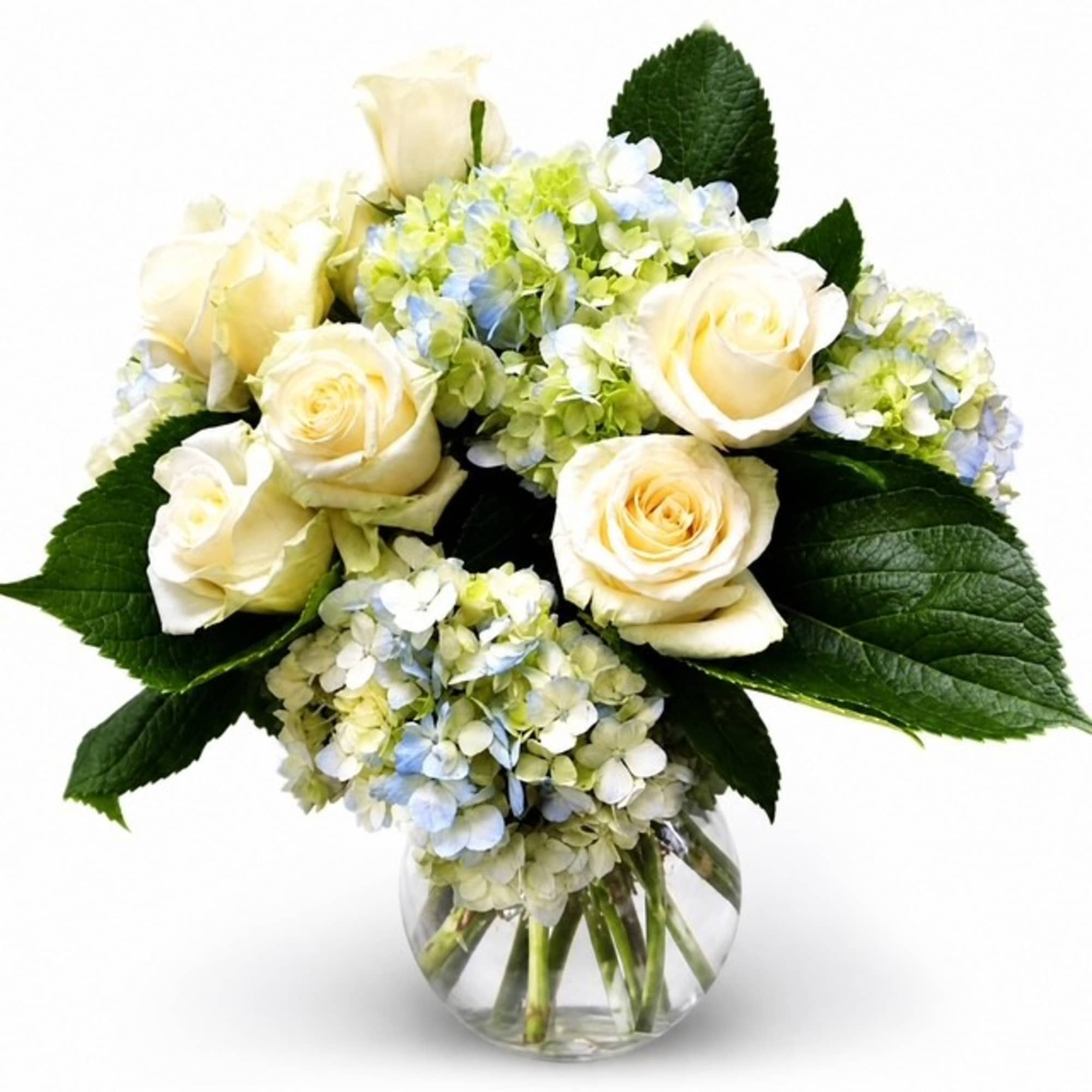 Cream roses and pale hydrangeas in a clear glass vase