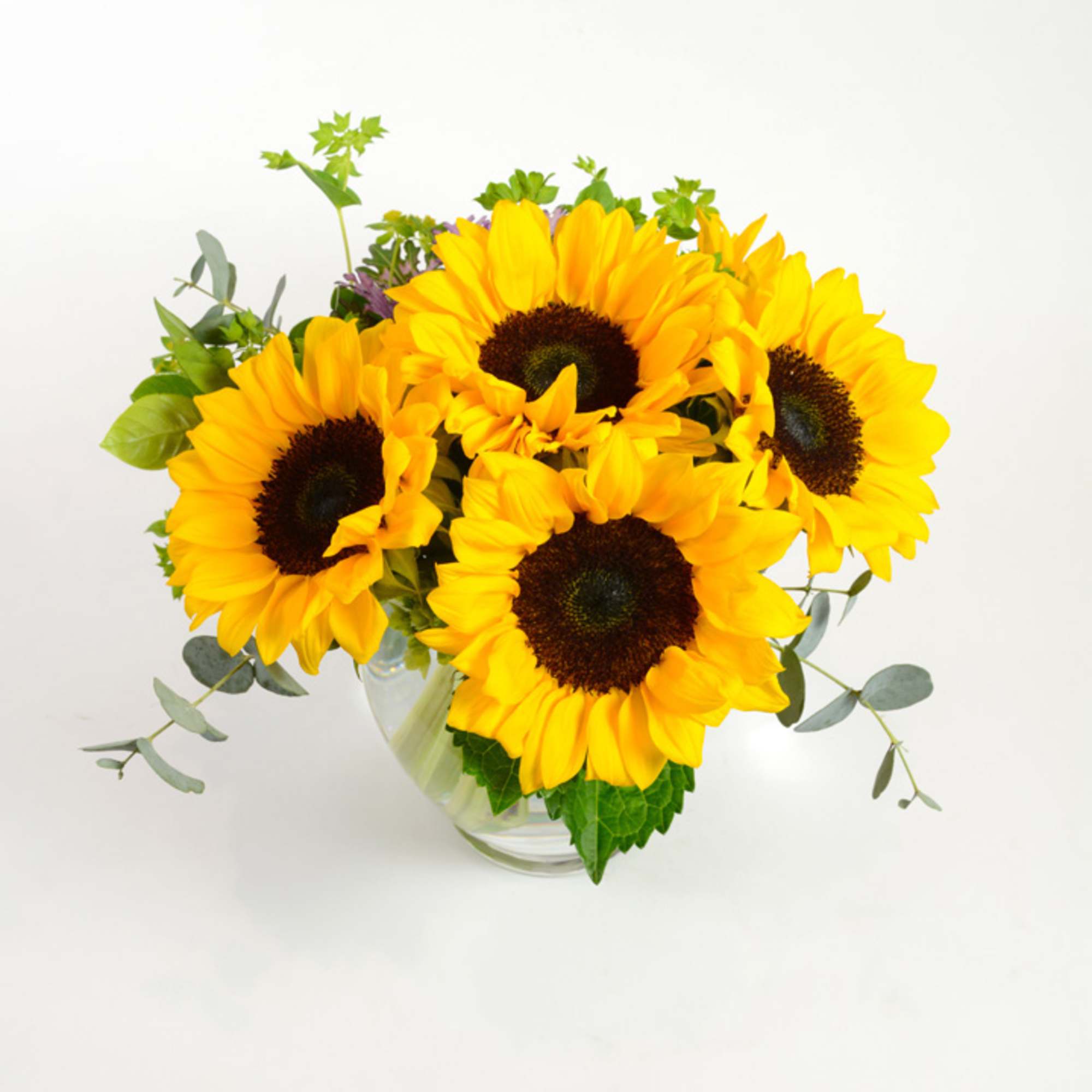 Radiant sunflowers beautifully arranged with a French Ribbon. Perfect for any occasion, photo 2 of 2