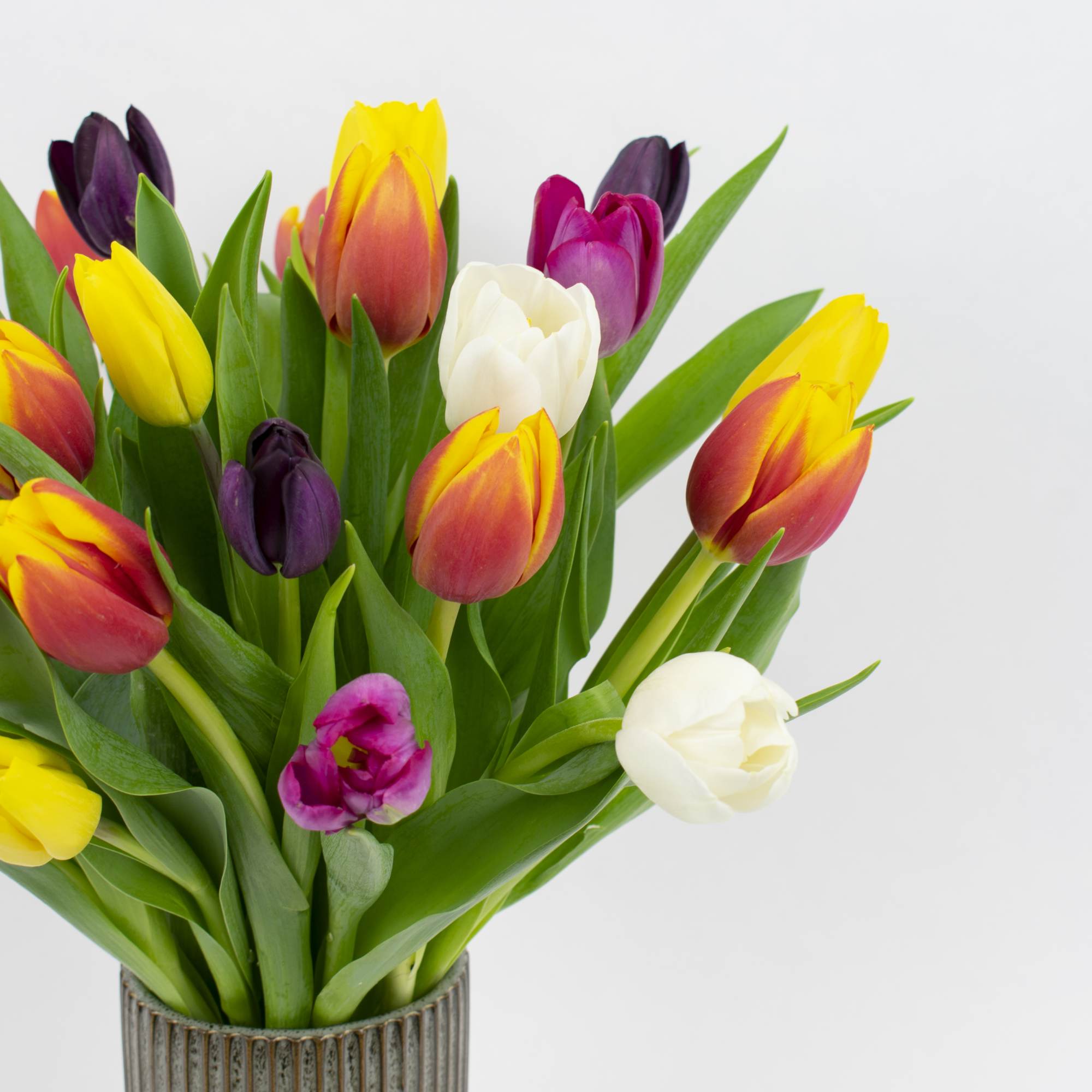 Colorful tulips arranged in a ribbed vase