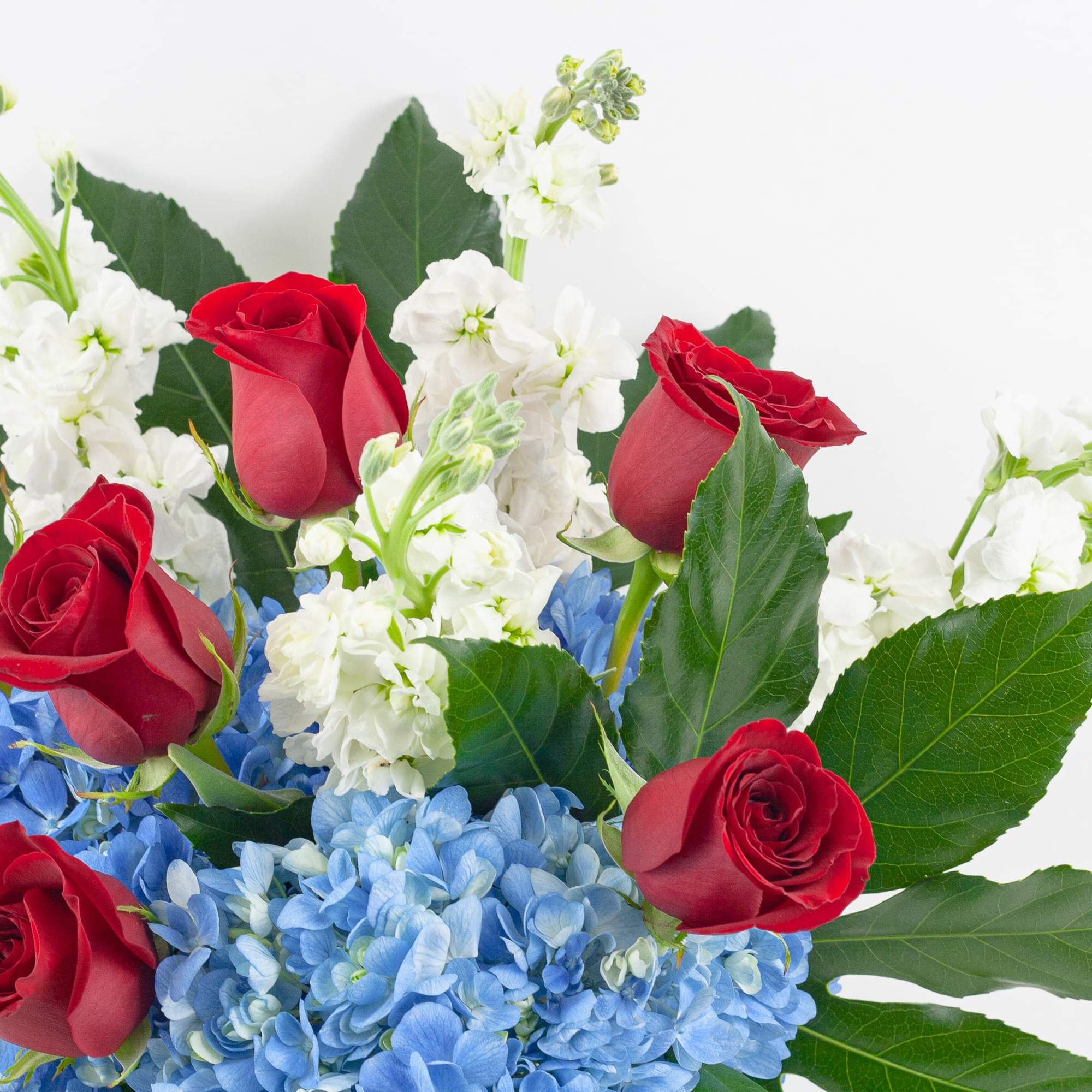 Red roses with blue hydrangeas and white flowers in a bouquet