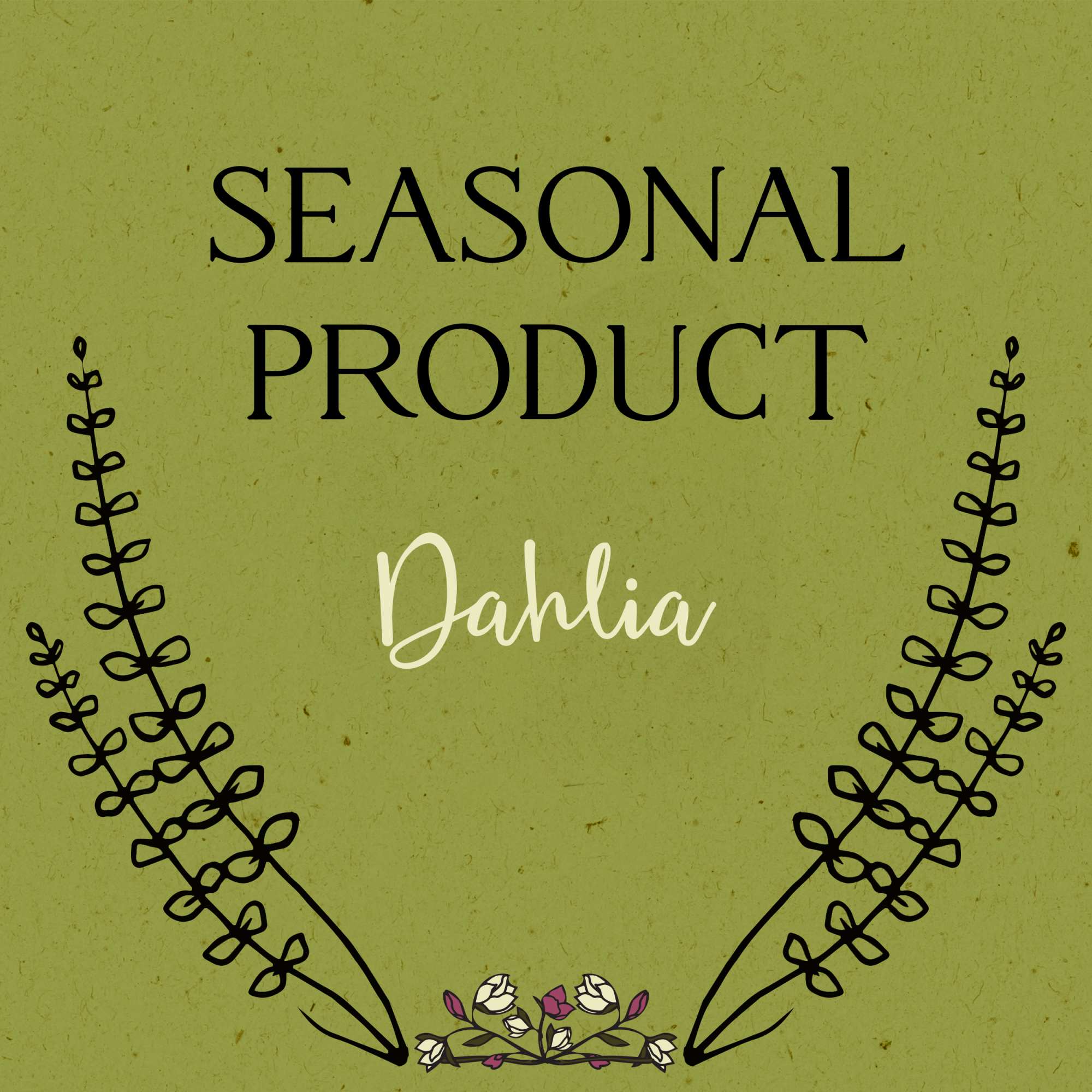 Seasonal product graphic with the word Dahlia and floral line art