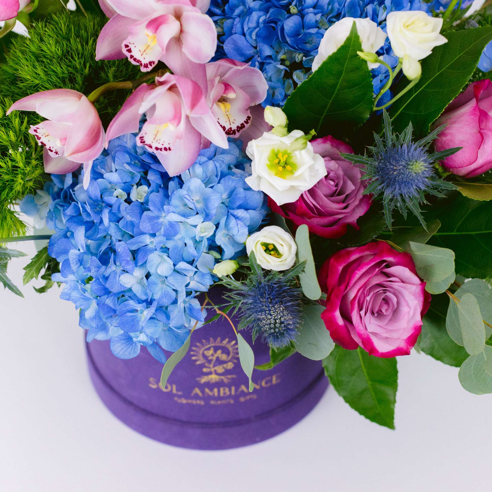 Mixed bouquet with blue hydrangea, pink orchids, and roses in a purple box