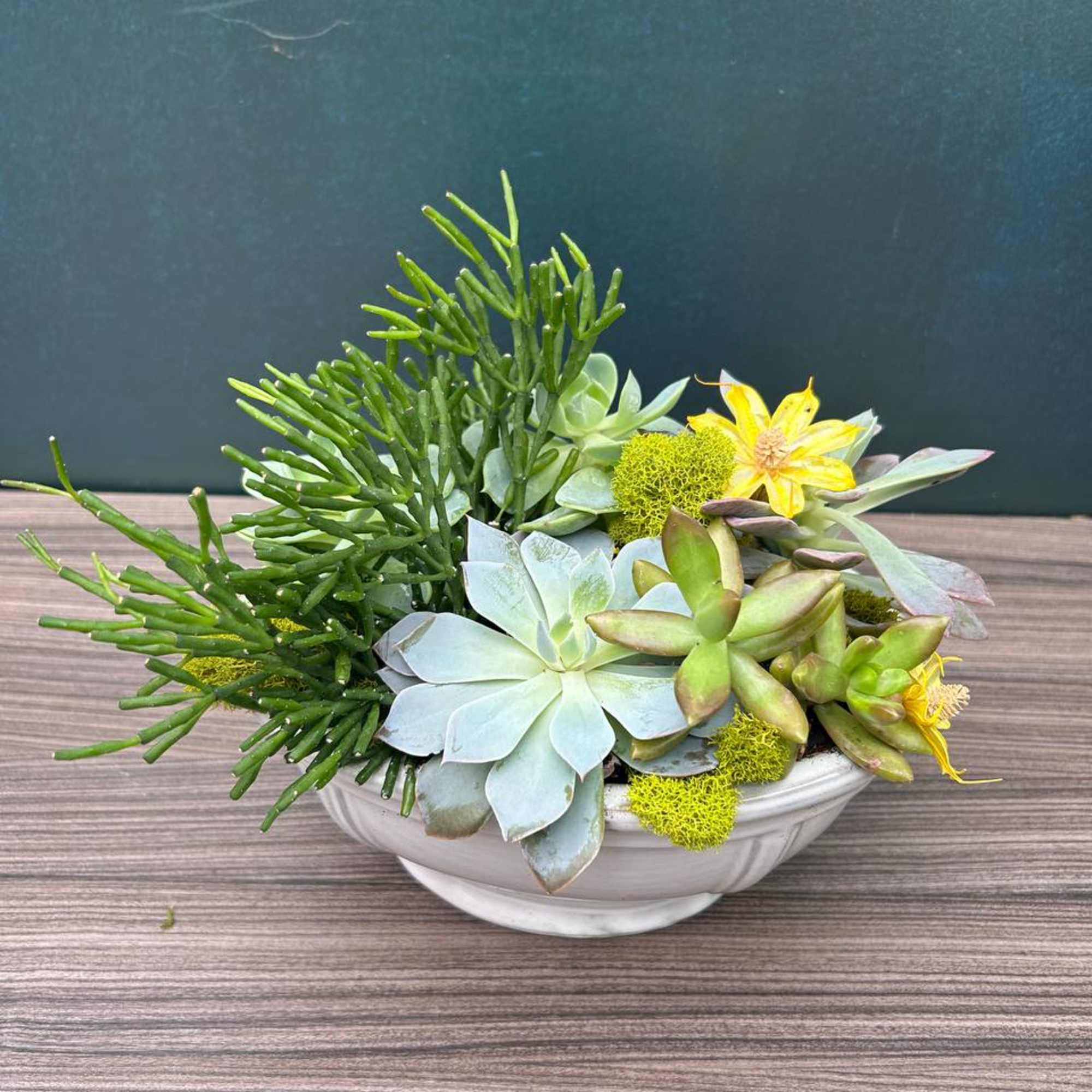 Succulent arrangement in a white bowl with small yellow flowers