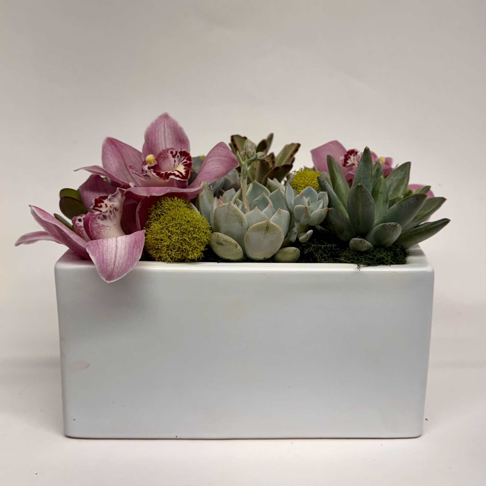 A beautiful array of succulents planted in a square ceramic container. Embellished, photo 3 of 4