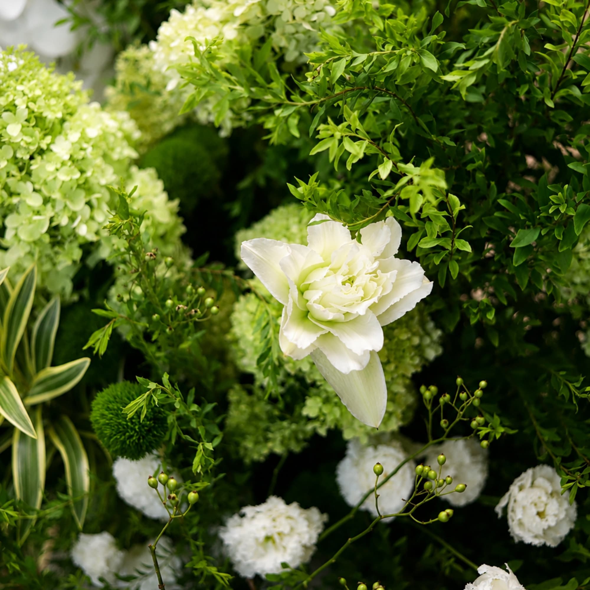 White flower arrangement with green hydrangeas and assorted greenery
