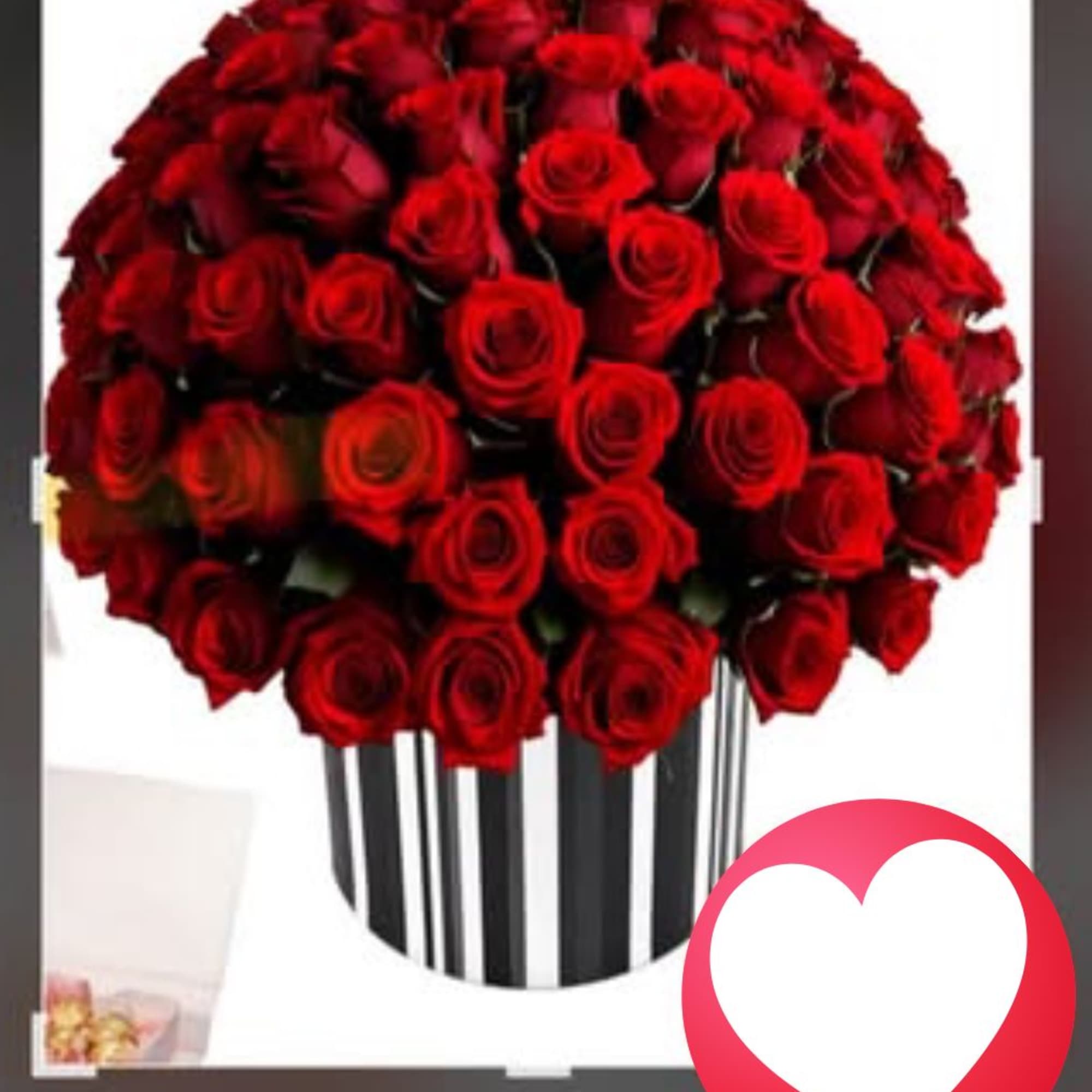 Large bouquet of red roses in a striped vase