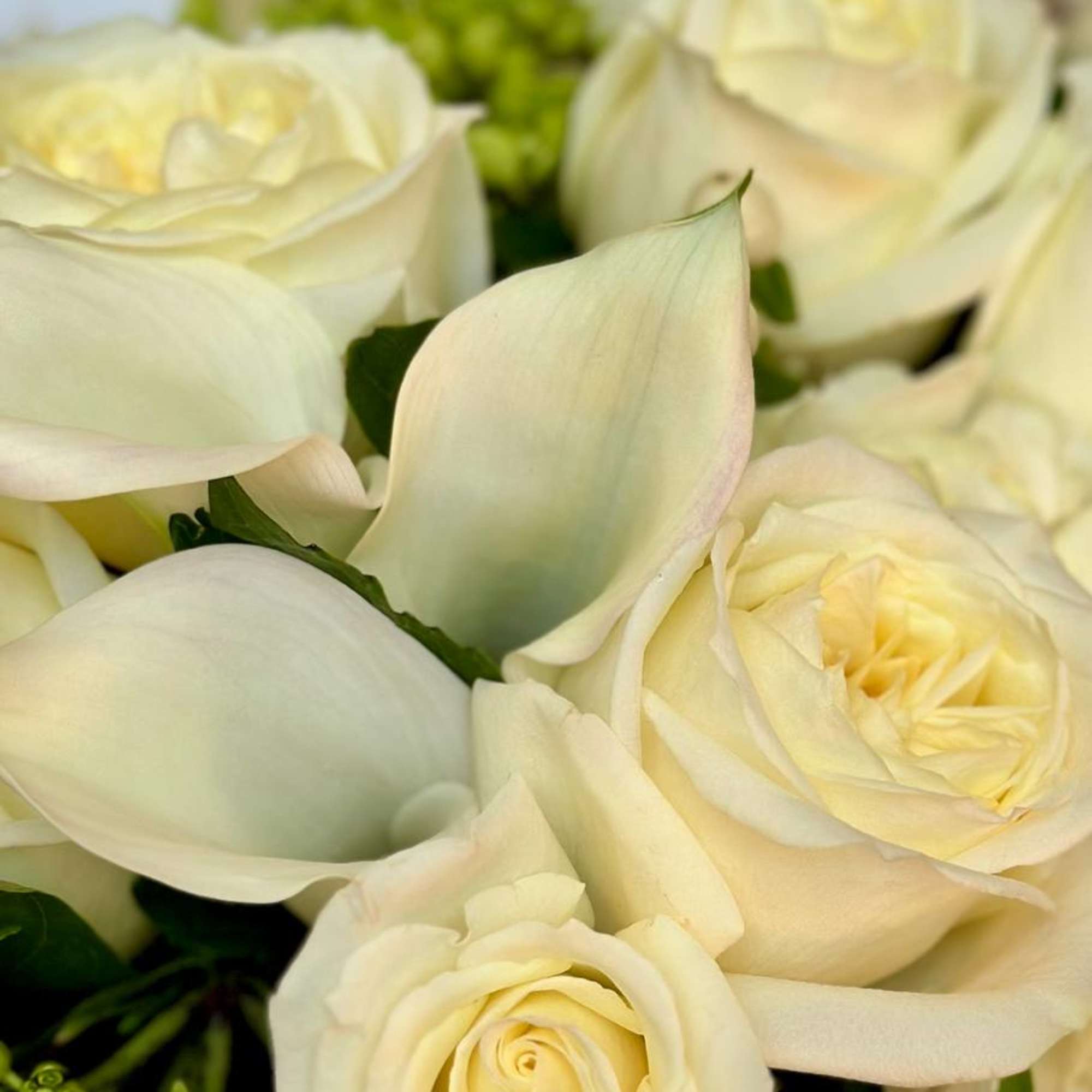 Let your love shine! No matter the recipient or the occasion, this, photo 4 of 4