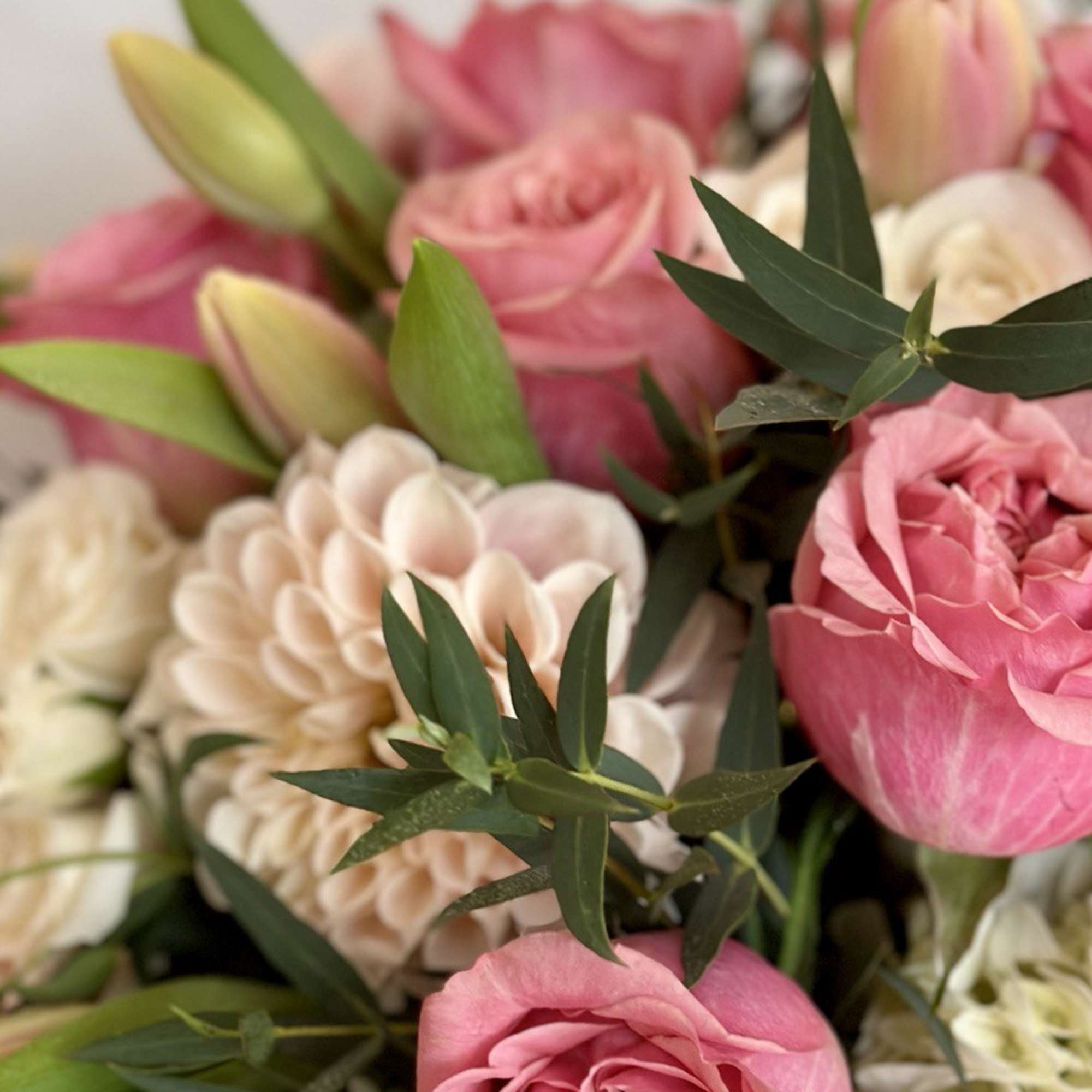 Pink roses and pale dahlias in a close-up bouquet