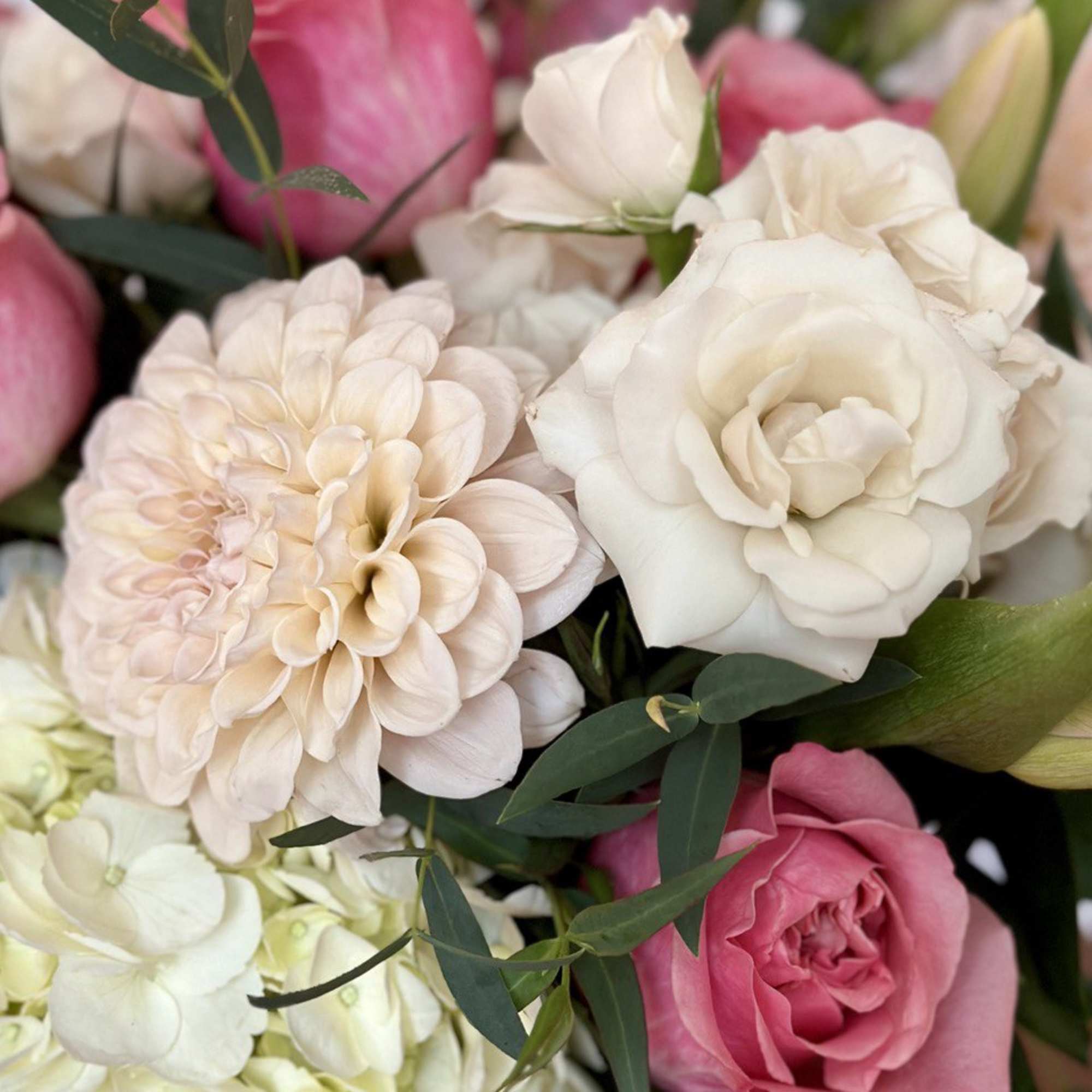 Close-up bouquet of pink and white roses with pale dahlias