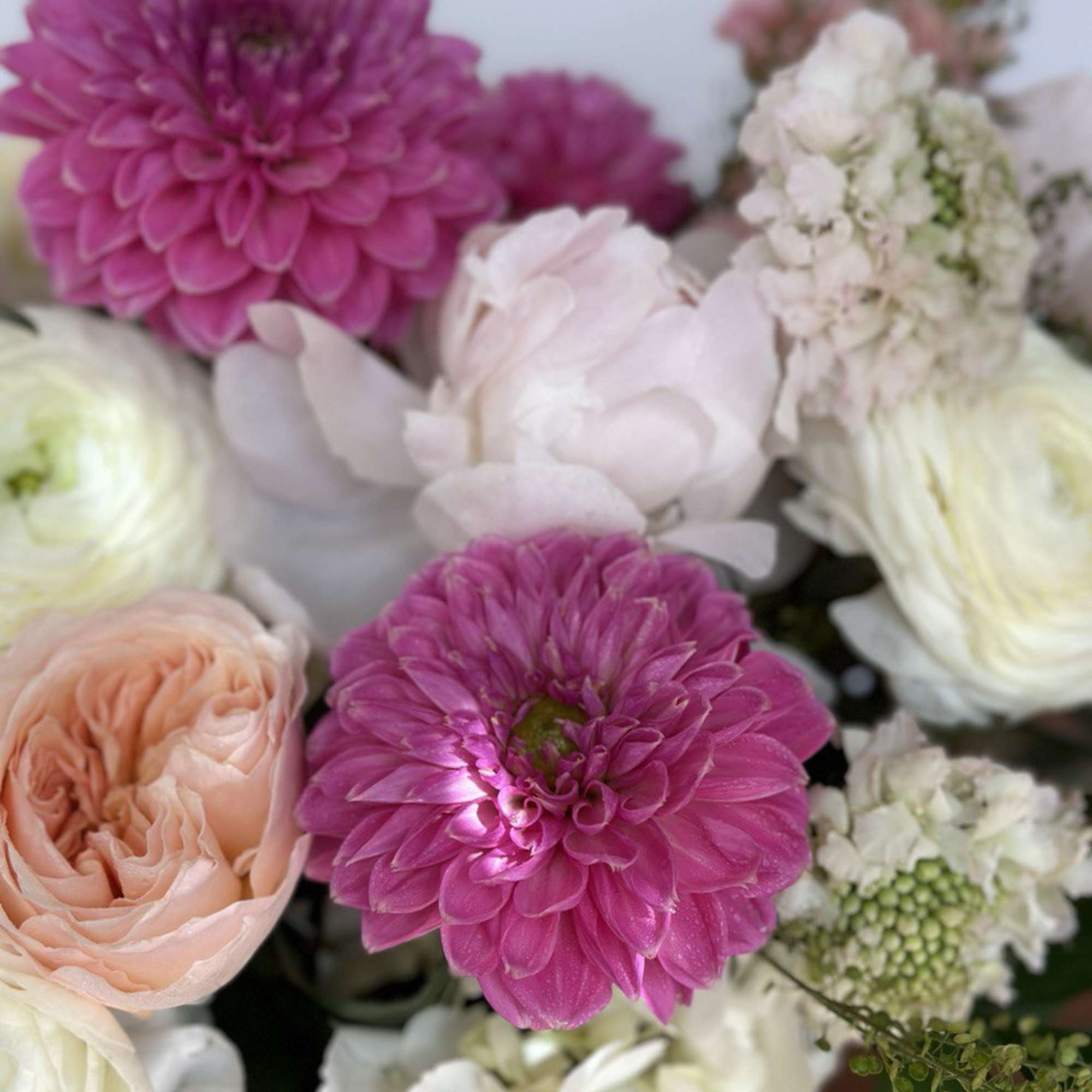 Bouquet of pink and white flowers with large magenta blooms