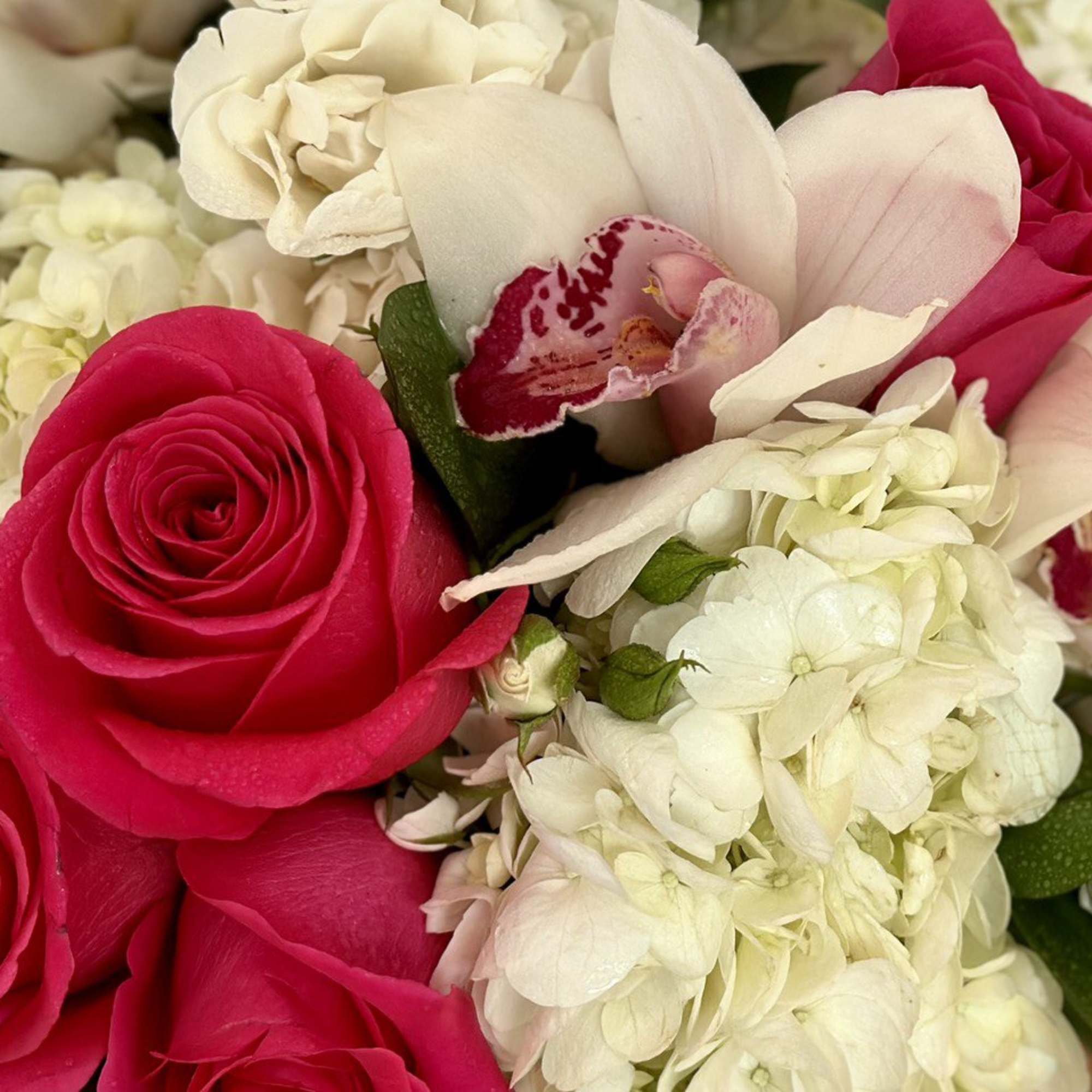 Close-up bouquet of hot pink roses, white hydrangeas, and pale orchids