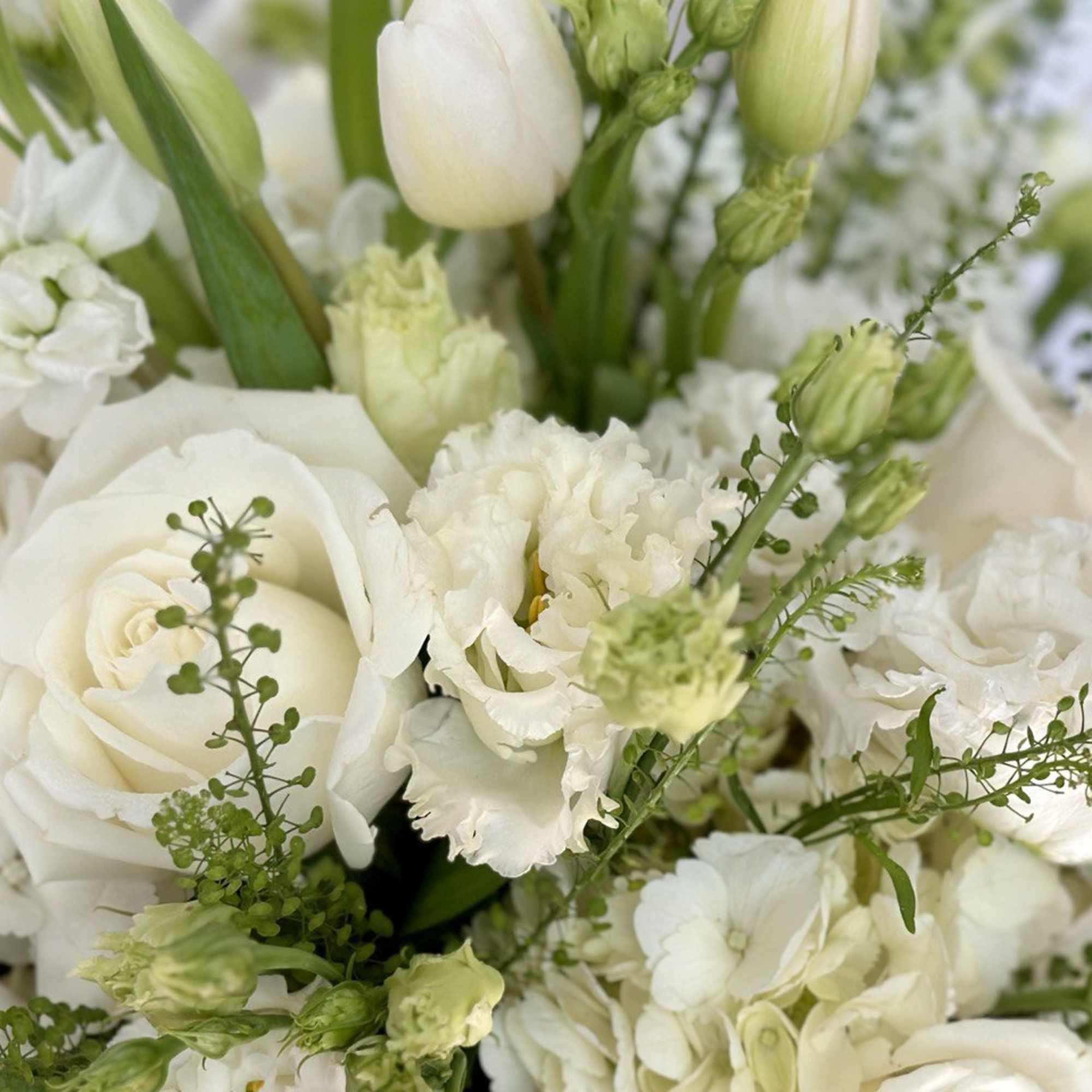 White roses and tulips arranged with small white blooms