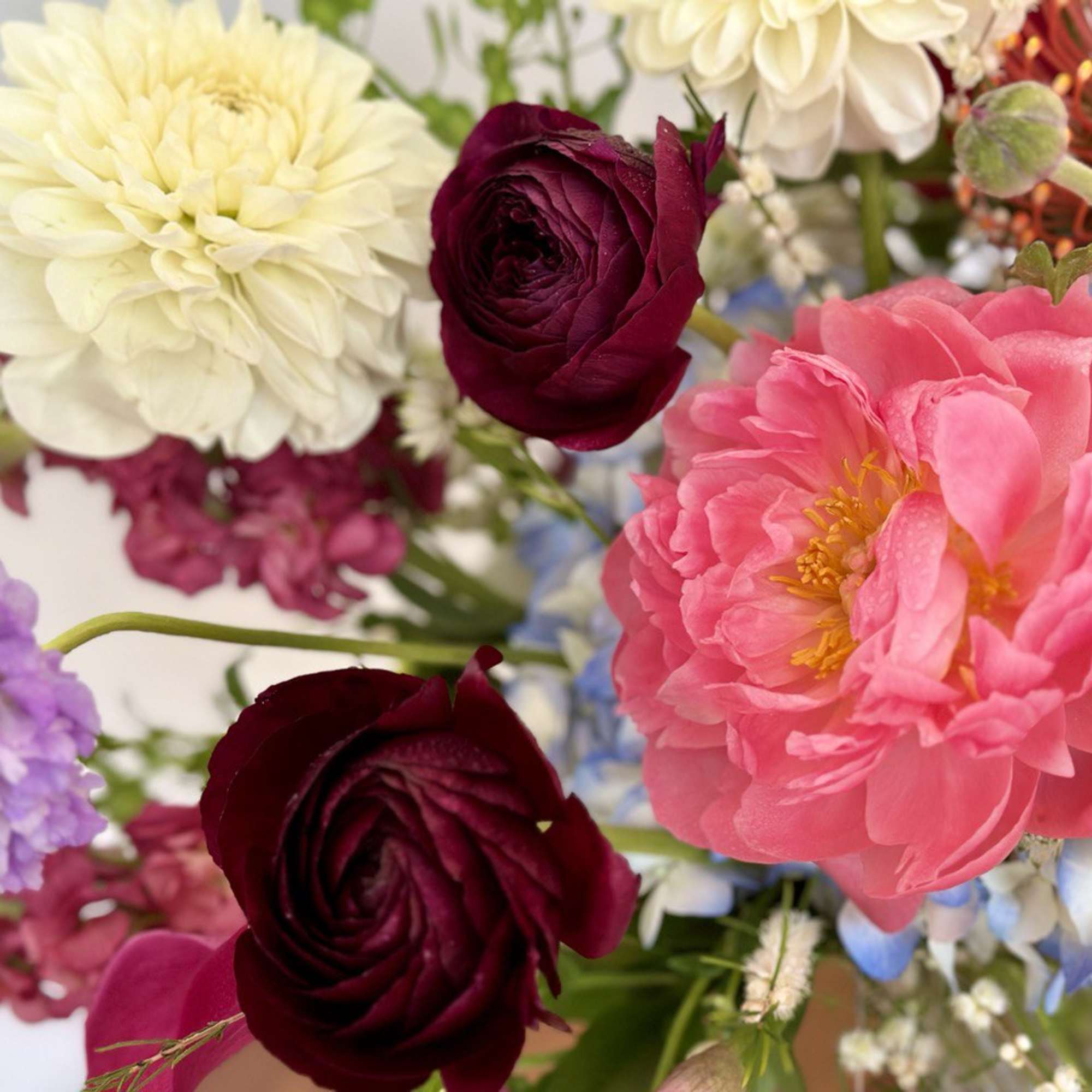 Close-up bouquet with pink peonies, dark red roses, and pale cream blooms