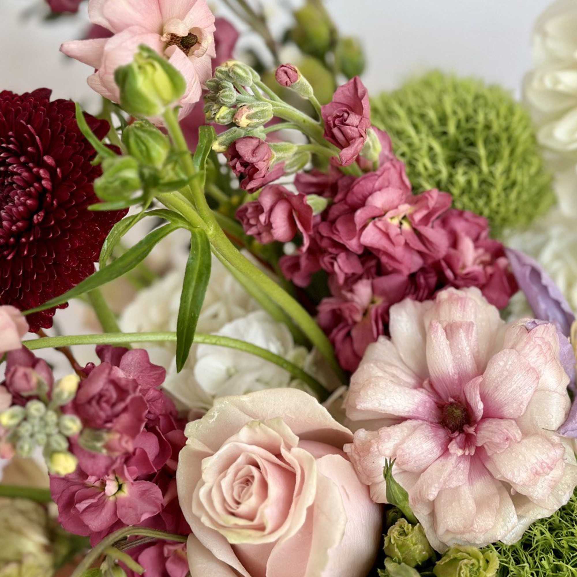 Close-up bouquet with pink roses, burgundy mums, and purple flowers
