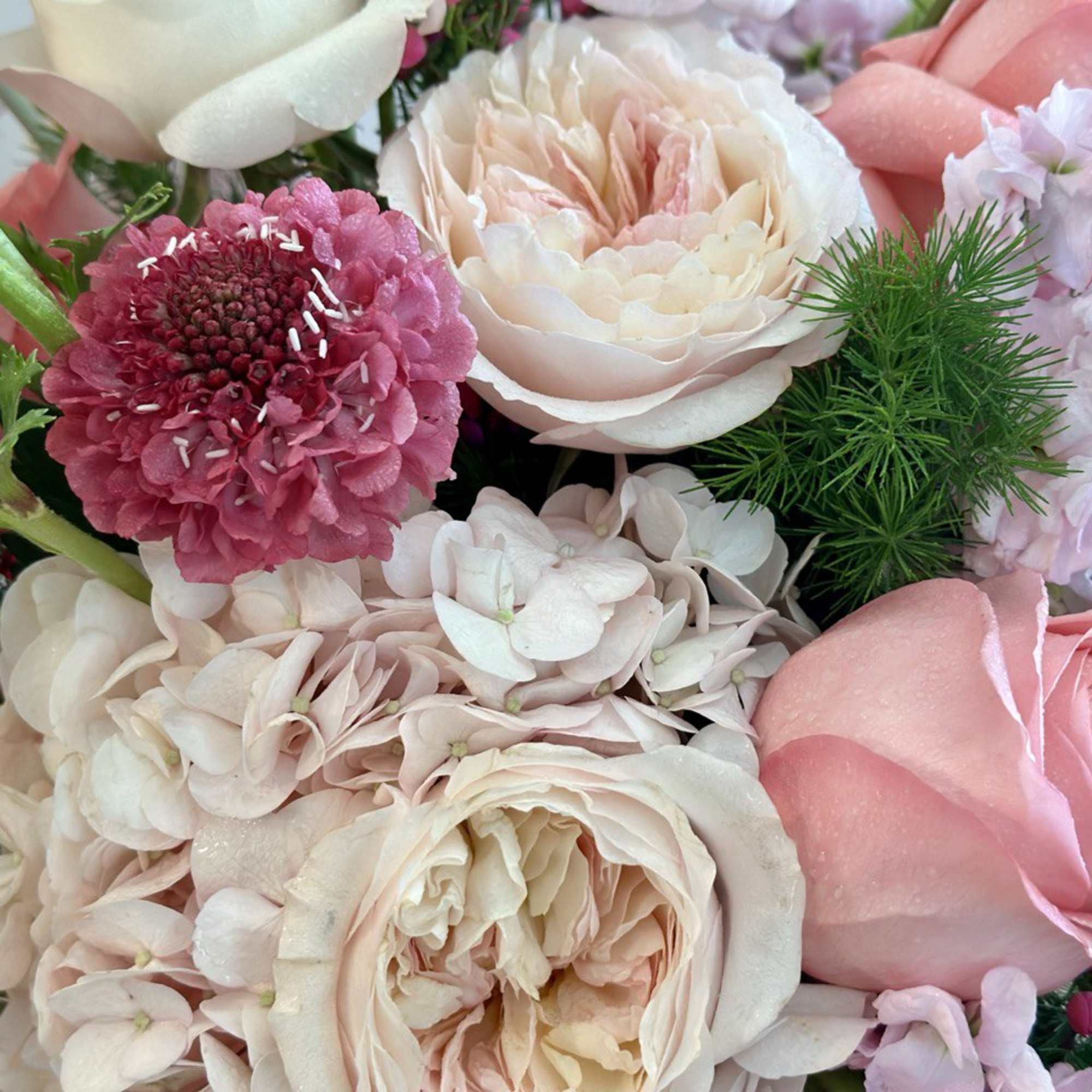 Close-up bouquet of pink and cream roses with pale hydrangeas and a magenta bloom