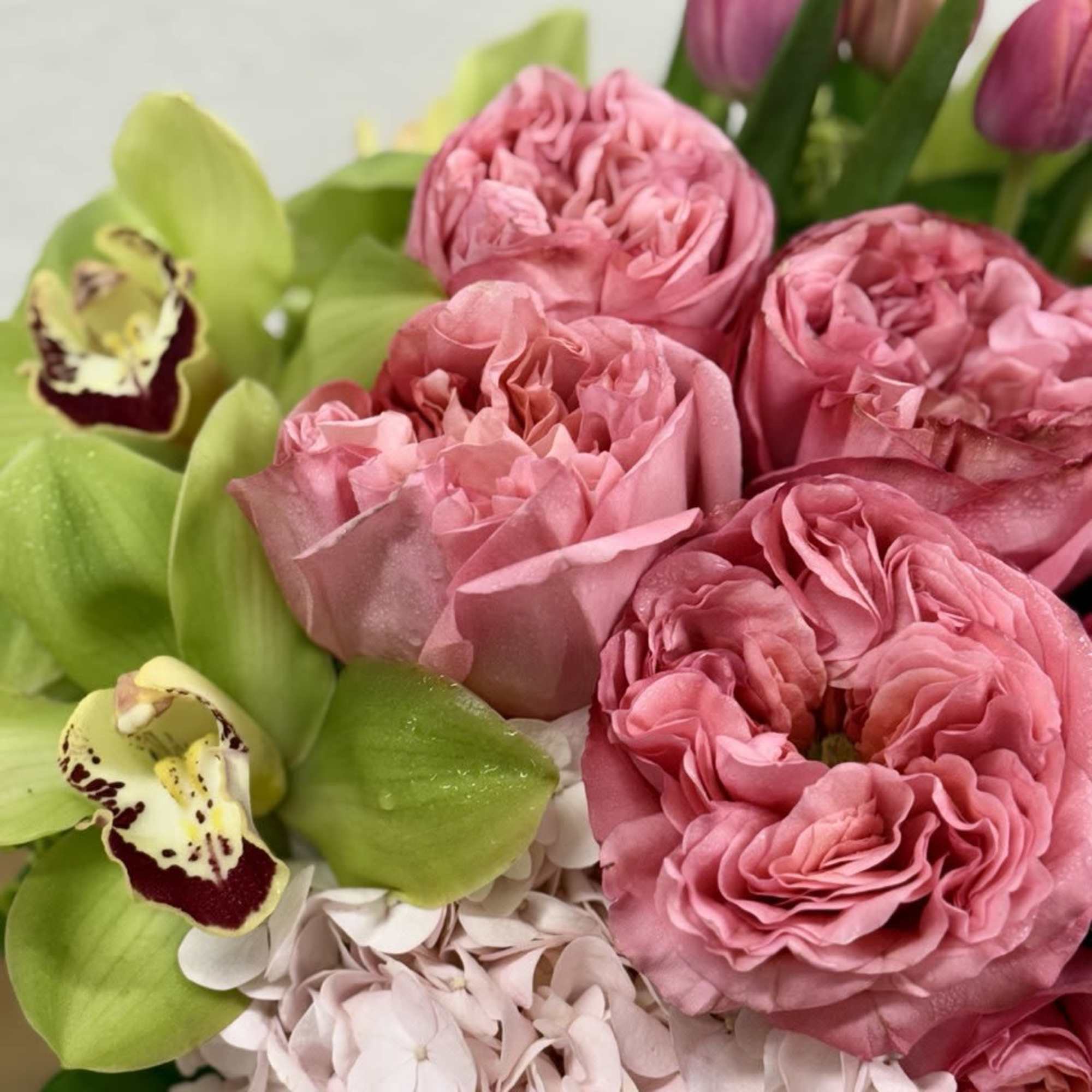 Pink roses with green orchids and pale hydrangeas in a bouquet