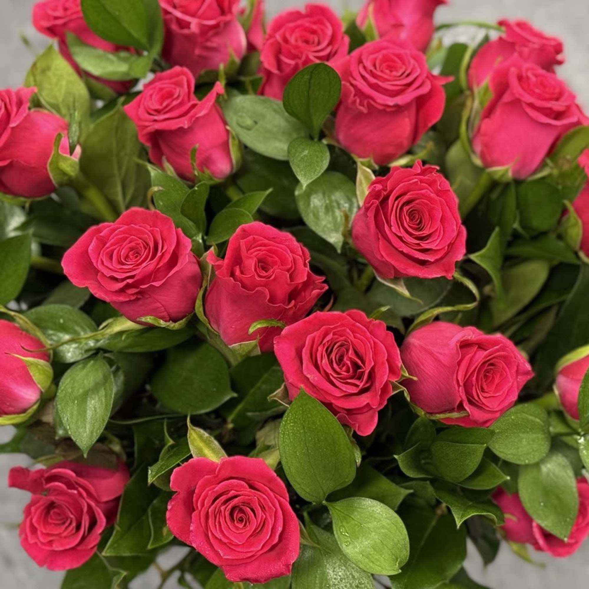 Bouquet of bright pink roses with green foliage