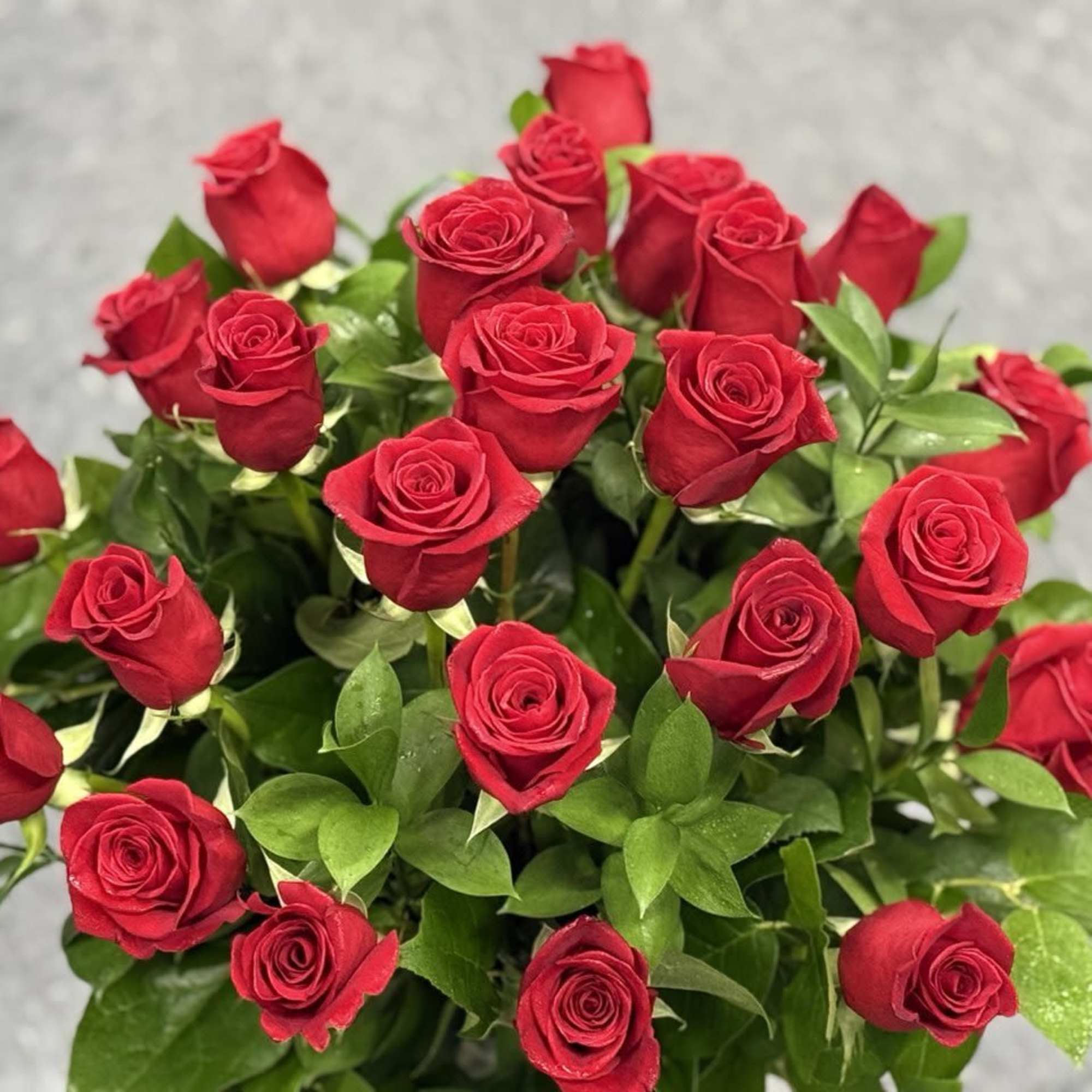Bouquet of red roses with green foliage