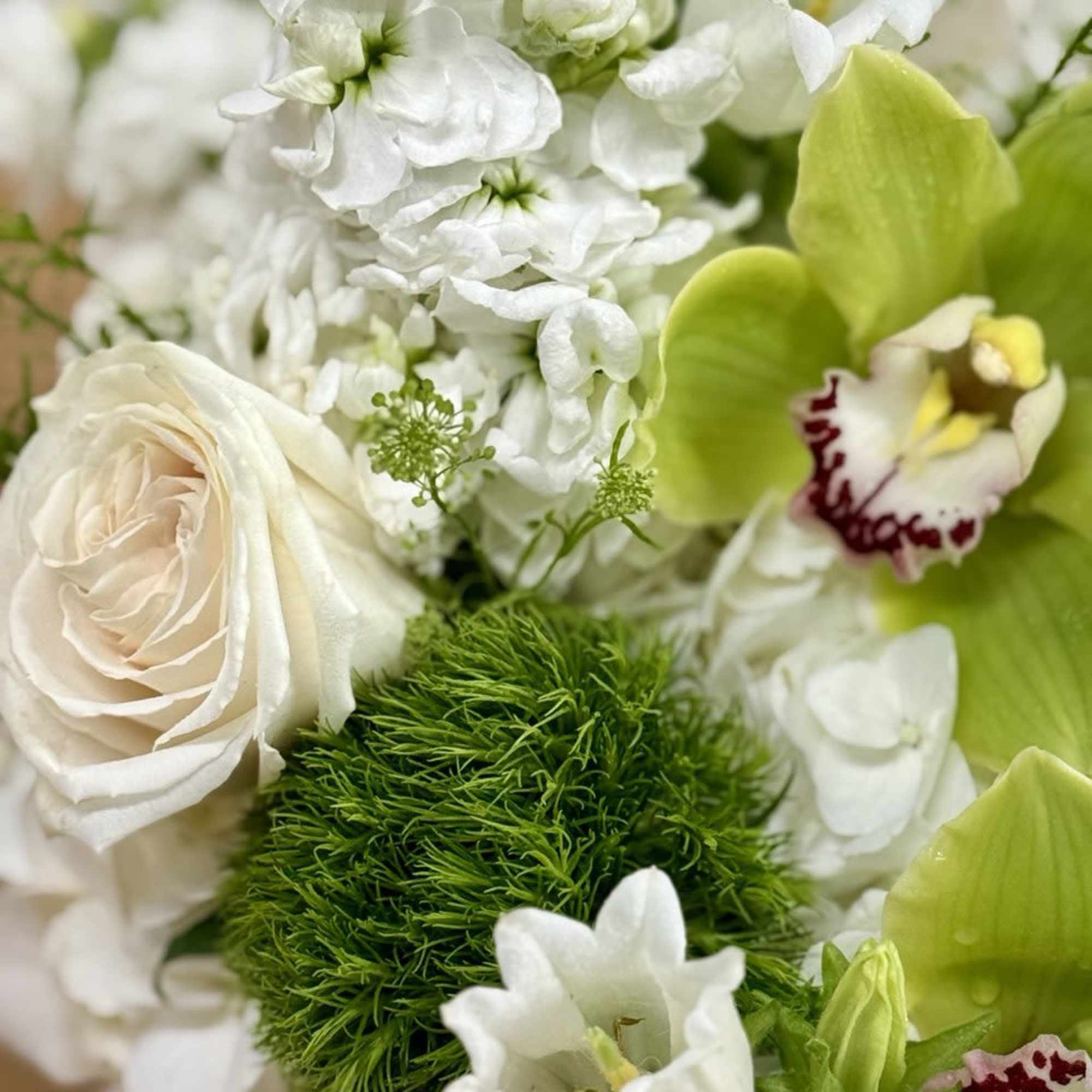 Close-up bouquet of white and green flowers with a pale rose.