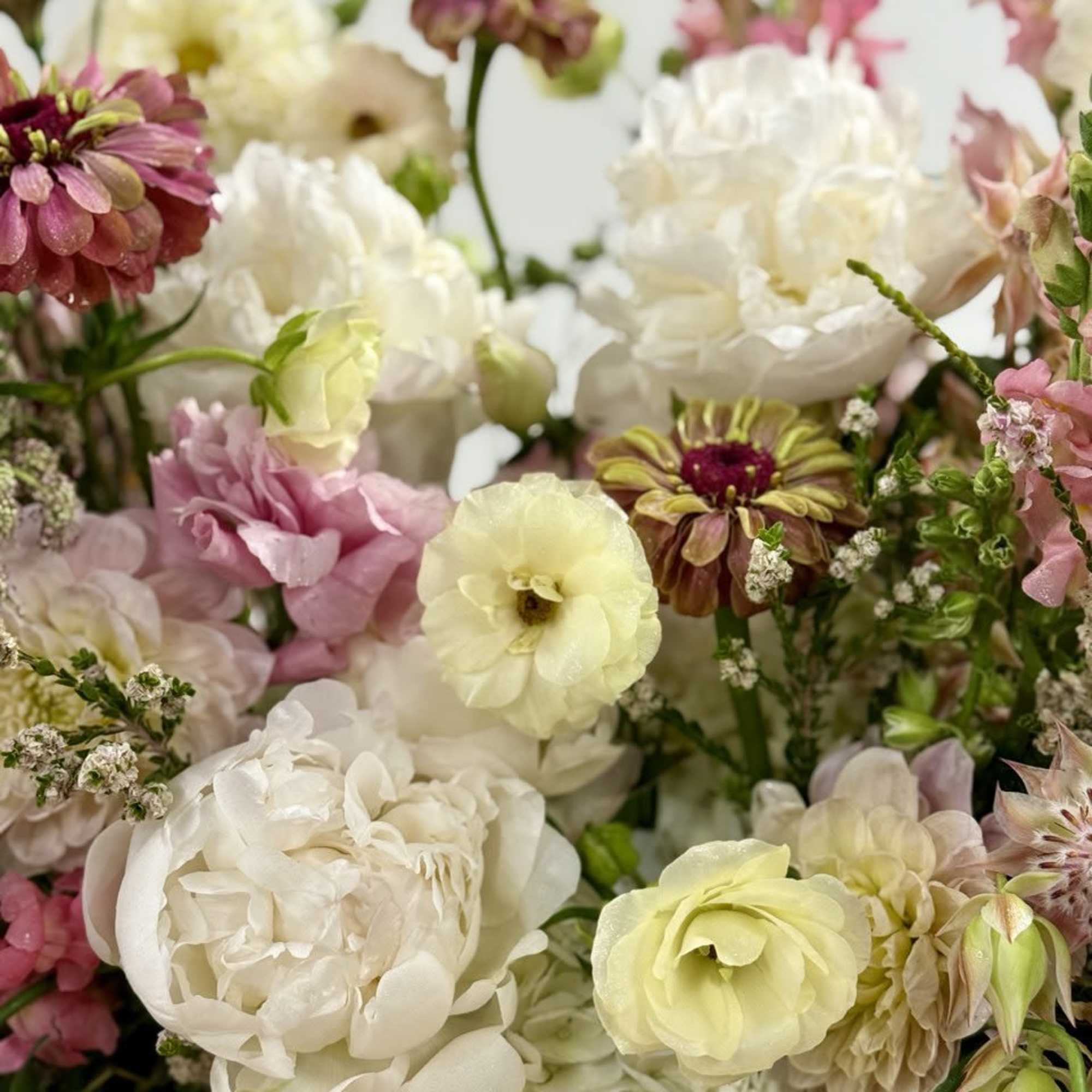 Everyday arrangement of white and pale yellow peonies with pink and mauve mixed blooms.