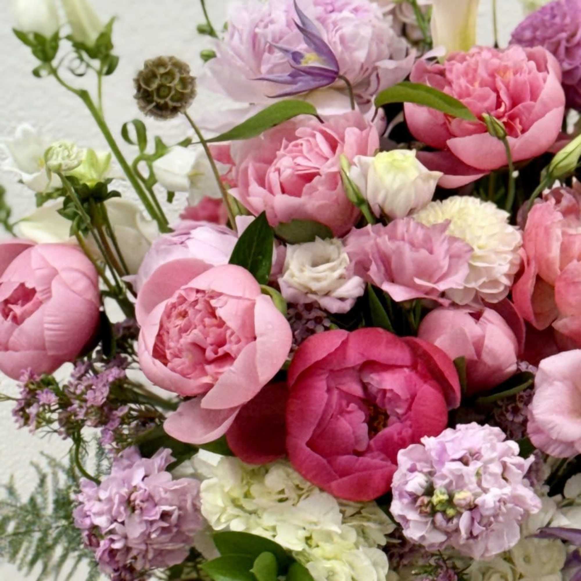 Little Peony Signature Collection &ndash; Opal Essence
Illuminate any occasion with Opal Essence, photo 3 of 4