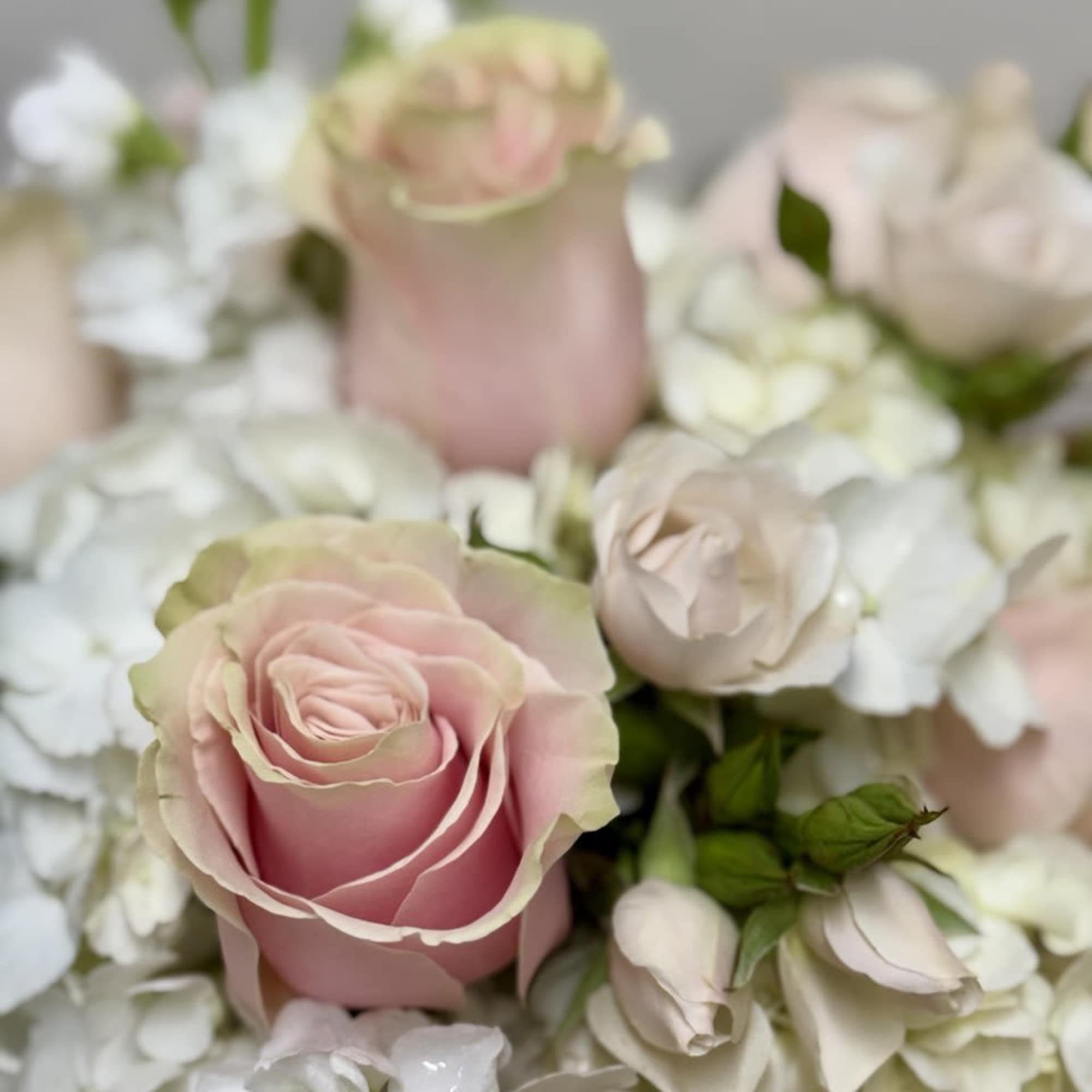 Soft pink roses arranged with white blossoms in a close-up bouquet