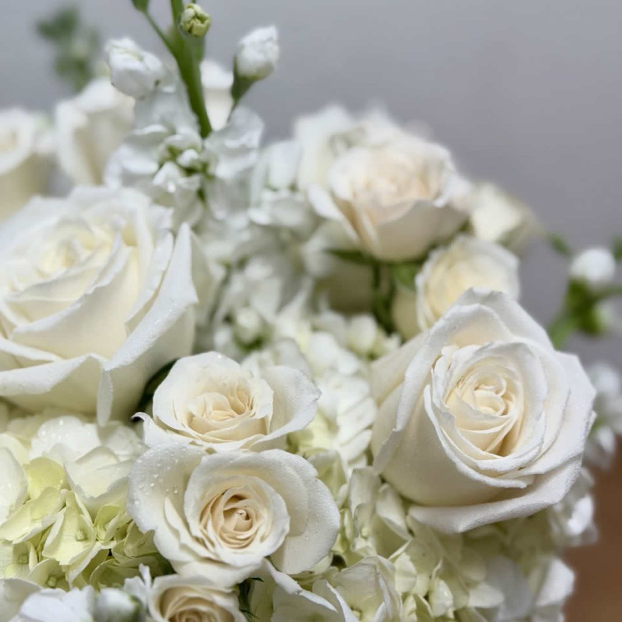 White roses and hydrangeas with a tall white flower spike